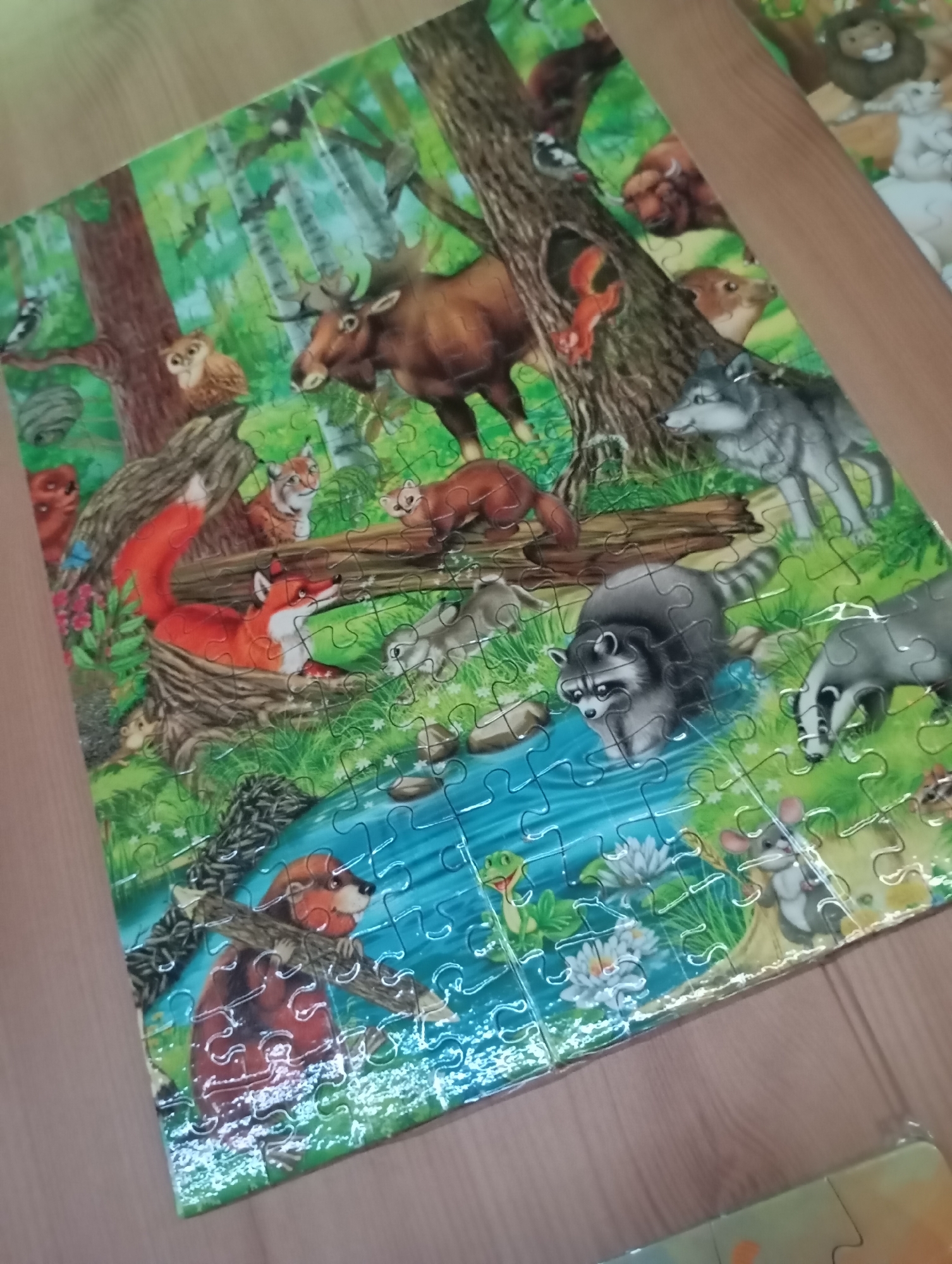 The image shows a completed jigsaw puzzle depicting a forest scene. The puzzle pieces interlock to form a picture of various woodland animals, including a moose, wolf, fox, raccoon, badger, beaver, owl, and other smaller creatures. They are positioned around a river and amongst trees. The location and city are not depicted in the image.