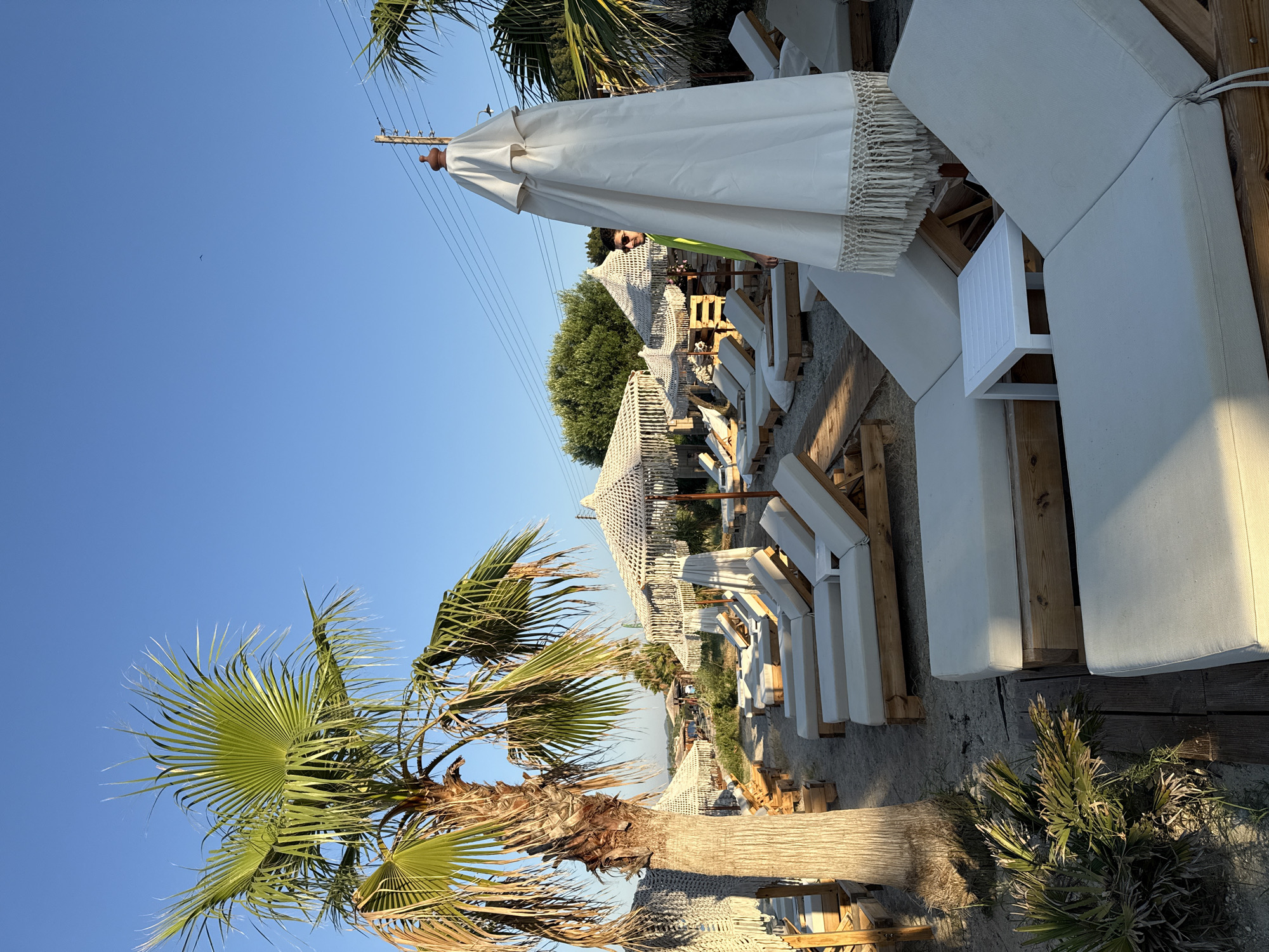 This is a vertical, eye-level, outdoor photograph of a beach lounge area on a sunny day. The scene is set in Pallini Municipal Unit, Greece, as indicated by the location context. In the foreground, a large palm tree with green fronds dominates the left side of the frame, casting a shadow on the sandy ground. Behind it, a row of white, cushioned lounge chairs are arranged on wooden platforms, suggesting a resort or beach club setting. Several white beach umbrellas, some with fringe detailing, are open, providing shade. The sky is clear and blue, with a few power lines visible in the upper portion of the image. In the mid-ground, more lounge chairs and umbrellas are visible, leading towards a distant view of trees and a body of water. A man wearing sunglasses and a bright green shirt is partially visible behind one of the umbrellas. The sunlight indicates it is likely late afternoon or early evening. The overall impression is one of a relaxed, vacation-like atmosphere. There is no visible text in the image.
