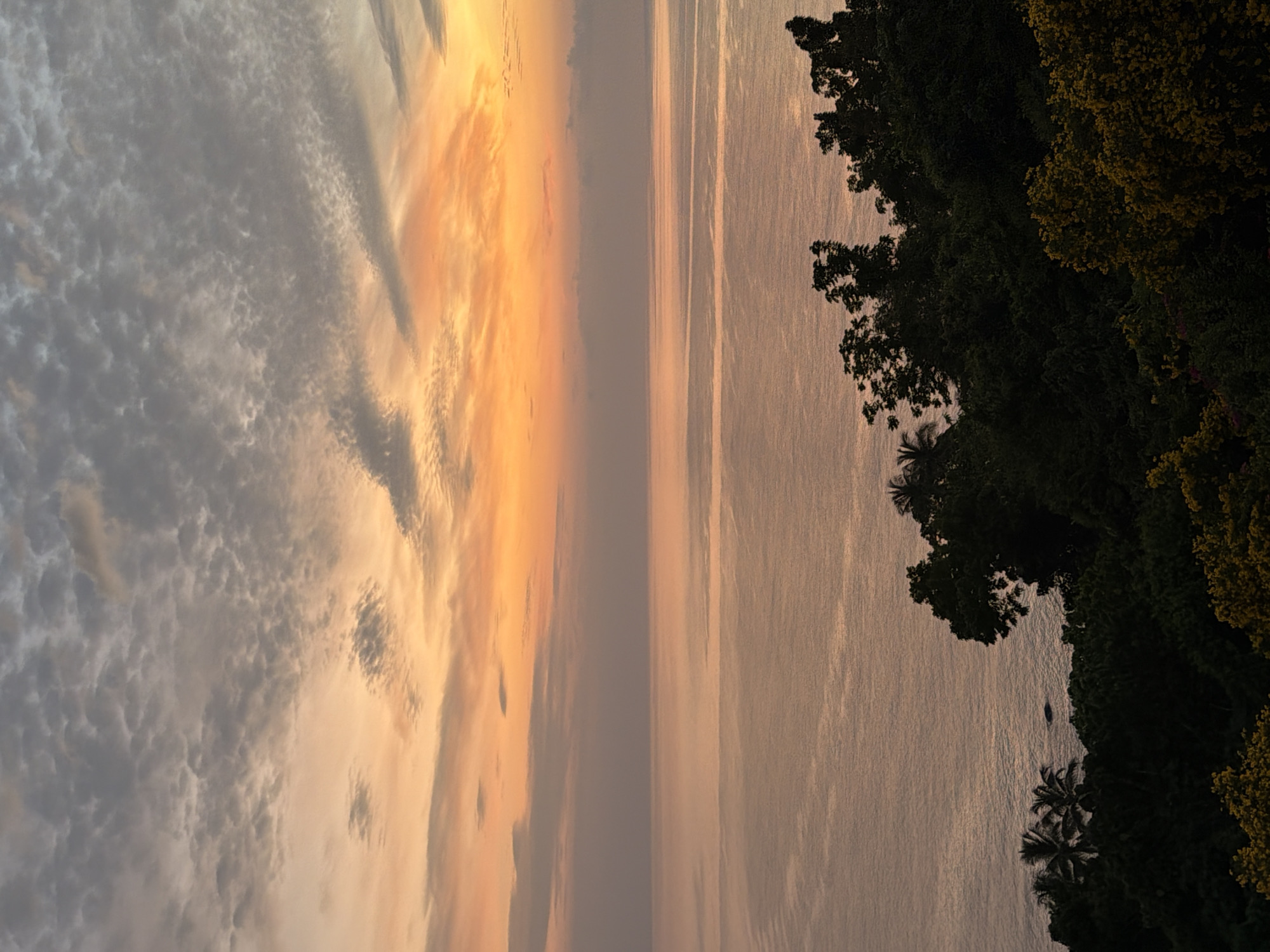 The image shows a wide-angle view of the ocean at dusk, as seen from a slightly elevated vantage point on the island of Koh Samui, Thailand. The sky is a gradient of warm oranges and soft grays, with scattered clouds that are illuminated by the setting sun. The ocean surface is calm and reflects the colors of the sky, creating a serene and tranquil atmosphere. In the foreground, a dense line of dark green foliage, consisting of various trees and palm fronds, stretches across the bottom of the frame, obscuring the ground. The vegetation is lush and appears to be tropical, consistent with the location. A small, dark object, possibly a rock or a small boat, is visible in the water near the shoreline. There are no people or any visible signs of human activity in the image, focusing solely on the natural landscape.