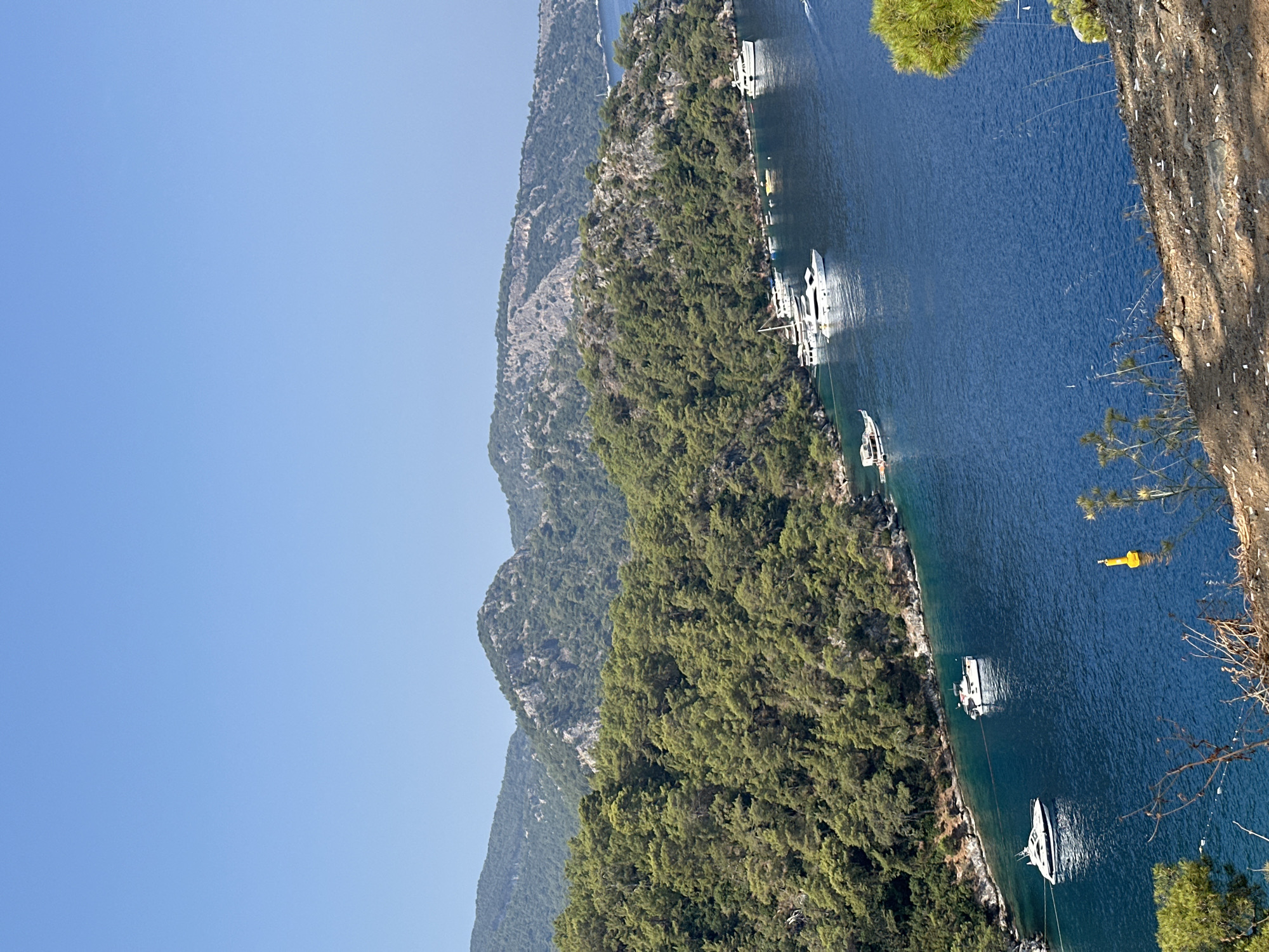 A high-angle, wide shot captures a sunlit bay near Fethiye, Turkey. The deep blue water is dotted with several white yachts and smaller boats. Lush green trees cover the rolling hills and mountains that form the backdrop of the scene. The sky is a clear, bright blue. The foreground shows a rocky, sun-dappled slope with dry brush.