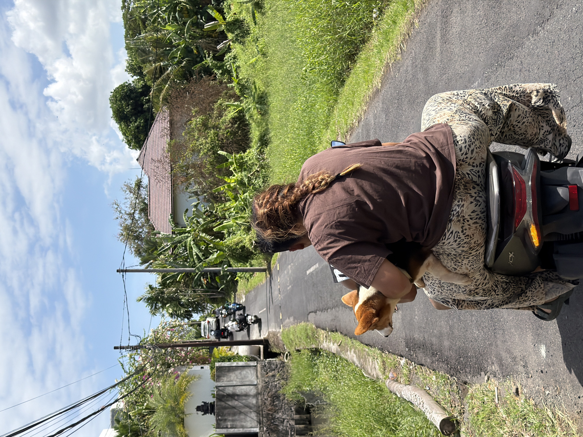 A woman rides a scooter on a paved road in North Kuta, Indonesia. She is wearing a brown t-shirt and leopard print pants. A small dog with brown and white fur is positioned in front of her. The road is bordered by grassy areas and vegetation, including trees and bushes. In the background, buildings, vehicles, and power lines are visible. The sky is blue with scattered clouds.