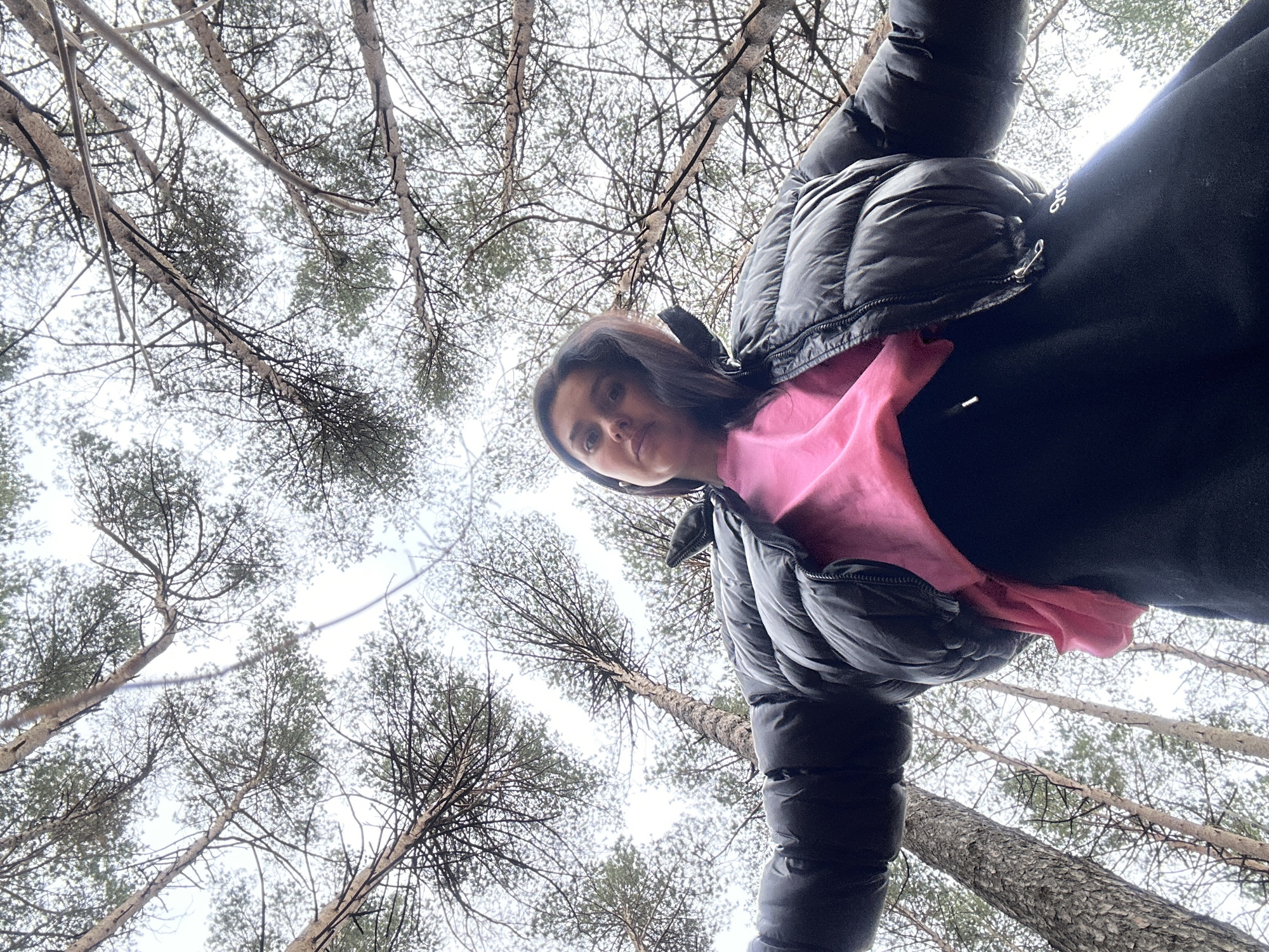 A young woman is captured in a low-angle shot, looking directly at the camera, immersed in a coniferous forest setting. She has dark hair and a neutral expression. She is wearing a dark, possibly black, puffer jacket over a bright pink top, with dark clothing on her lower body.
The image is taken from a perspective looking upwards, emphasizing the height of the slender tree trunks and the intricate network of branches overhead. The trees appear to be pines or firs, with sparse green needles and textured bark visible against a bright, overcast sky. The diffused lighting suggests an overcast day.
The woman appears to be posing for a photo or taking a selfie, enjoying time in a natural environment. A small, indistinct white logo or text, possibly reading "LIG" or similar, is visible on the dark garment near the zipper of her jacket on the right side of the frame. The overall atmosphere suggests a cool or chilly day, consistent with the reported location of Chaikovsky, Russia.