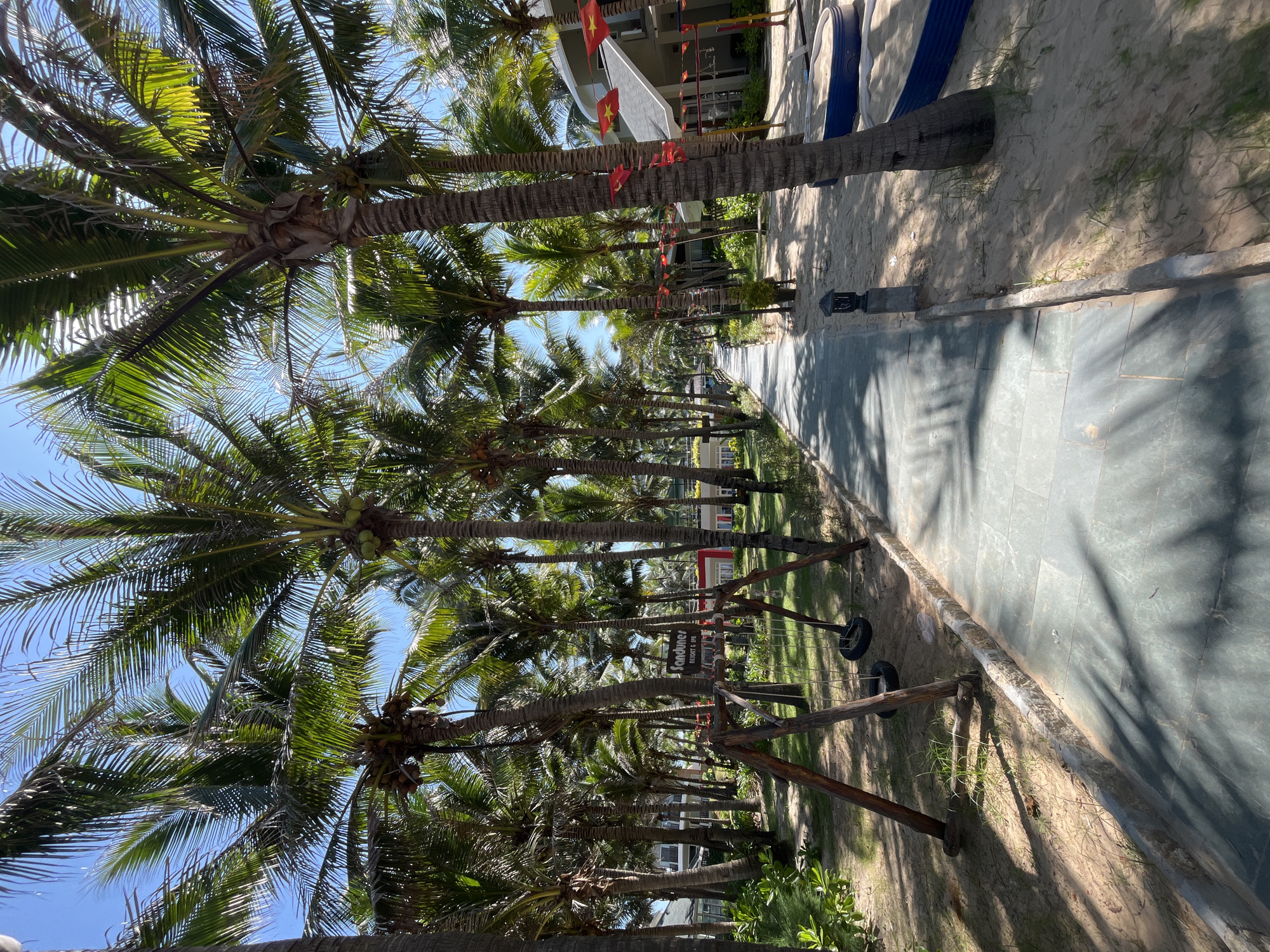 The image depicts a sunny day at a resort in Mũi Né, Vietnam, characterized by a pathway lined with numerous palm trees. The pathway appears to be made of gray stone tiles and curves to the right, leading into the distance. To the left of the pathway, a wooden swing set with two tire swings is visible, set against a backdrop of lush green grass and more palm trees. Further back, beyond the swing set, a sign that reads "Sandunes RESORT & SPA" is present, indicating the location.
On the right side of the pathway, the resort buildings are partially visible, featuring light-colored walls and dark roofs. Red and yellow flags are attached to some of the buildings. In the foreground to the right, a sandpit is visible, possibly part of a children's play area. The ground is a mix of sand and sparse green grass, with sunlight casting shadows from the palm fronds onto the pathway and the ground. The sky is clear and blue. No people are present in the scene.