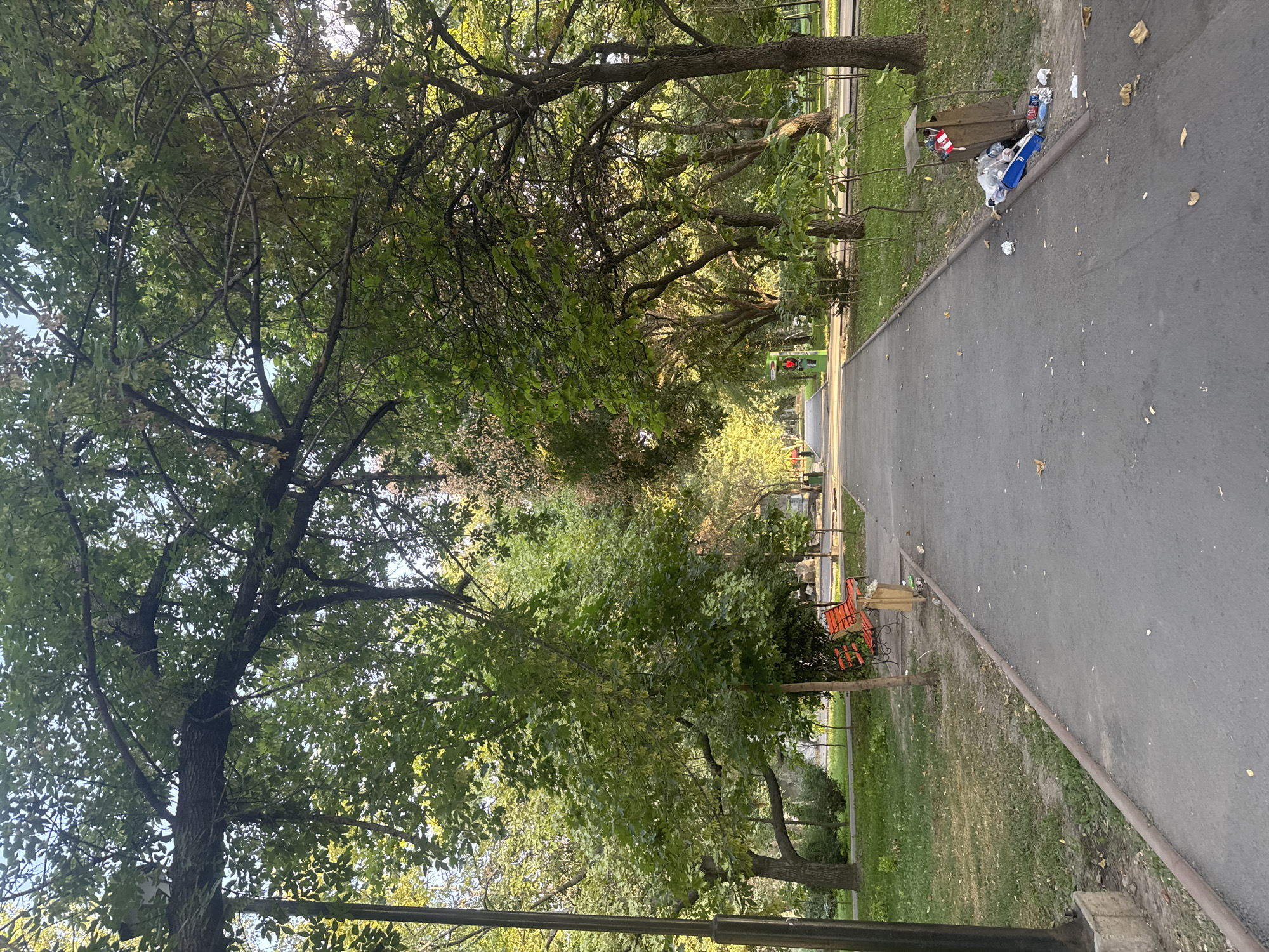 A paved pathway extends through a park lined with mature trees. The path is bordered by grassy areas and features several park benches, some of which are occupied by people. A trash can overflows with litter on the right side of the path. In the distance, individuals can be seen walking along the path. The scene suggests a public park in Bishkek, Kyrgyzstan, possibly during the daytime.
