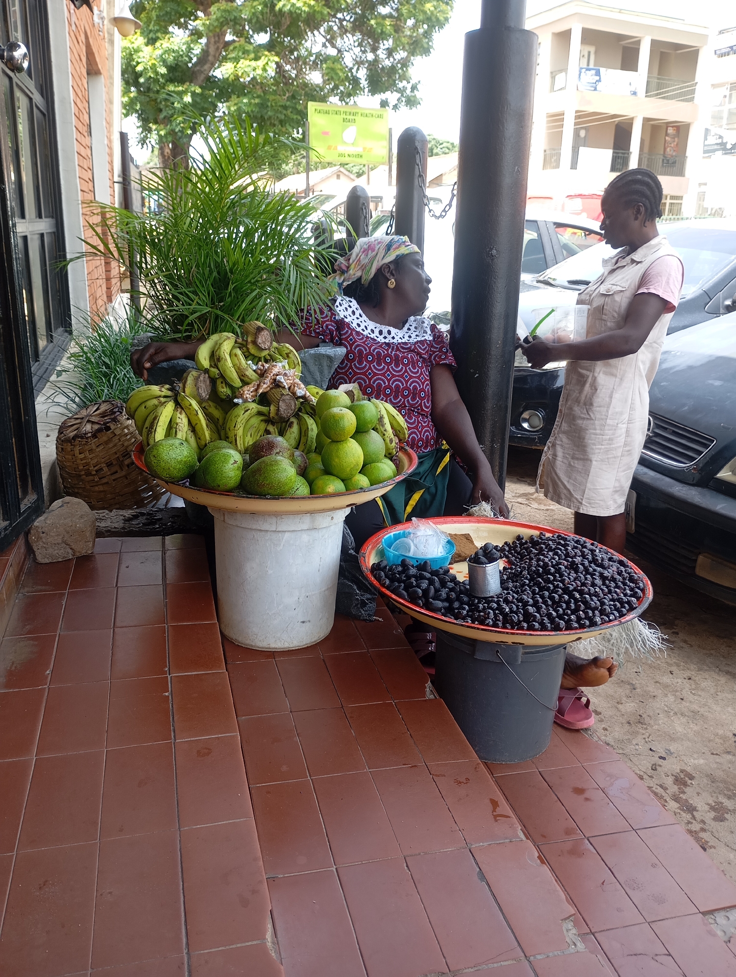 Two women are standing and sitting next to a sidewalk fruit stand in Jos, Nigeria. The woman on the right is standing and wearing a light-colored dress over a pink shirt. She holds a bunch of green leaves in her hand and appears to be engaged in conversation with the woman on the left, who is seated. The seated woman is wearing a patterned top and a headscarf.
The fruit stand displays a variety of produce. In the foreground, a large shallow tray is filled with dark, plum-like fruits. To the left of this, another tray holds green fruits, likely avocados and limes, along with a bunch of bananas. Behind the seated woman, a woven basket sits near a potted plant. The setting suggests an outdoor market or a street vendor's spot, with a building and parked cars visible in the background. The ground is tiled with reddish-brown squares, and the overall lighting indicates it is daytime. There is a yellow sign in the background with some text, but it is illegible.