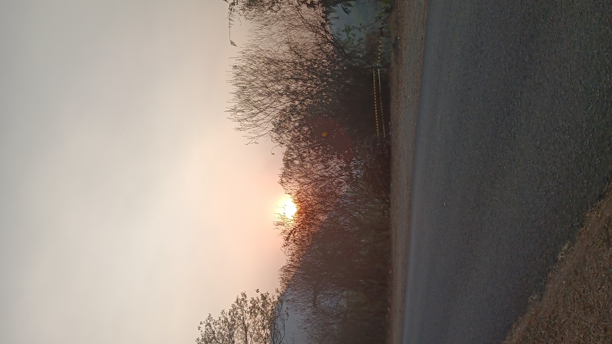 The image depicts a serene sunset scene in the city of Purwakarta, Indonesia. The sun, a bright orange orb, is partially obscured by the silhouette of bare trees and bushes. The sky is a soft gradient of pale yellow and light blue, indicating the late afternoon or early evening. In the foreground, a dark asphalt road stretches across the frame, with dry grass and dirt lining its edge. A yellow and black striped barrier is visible in the mid-ground, suggesting the presence of a road or a designated area. The overall atmosphere is peaceful and tranquil, with the natural beauty of the landscape taking center stage.
