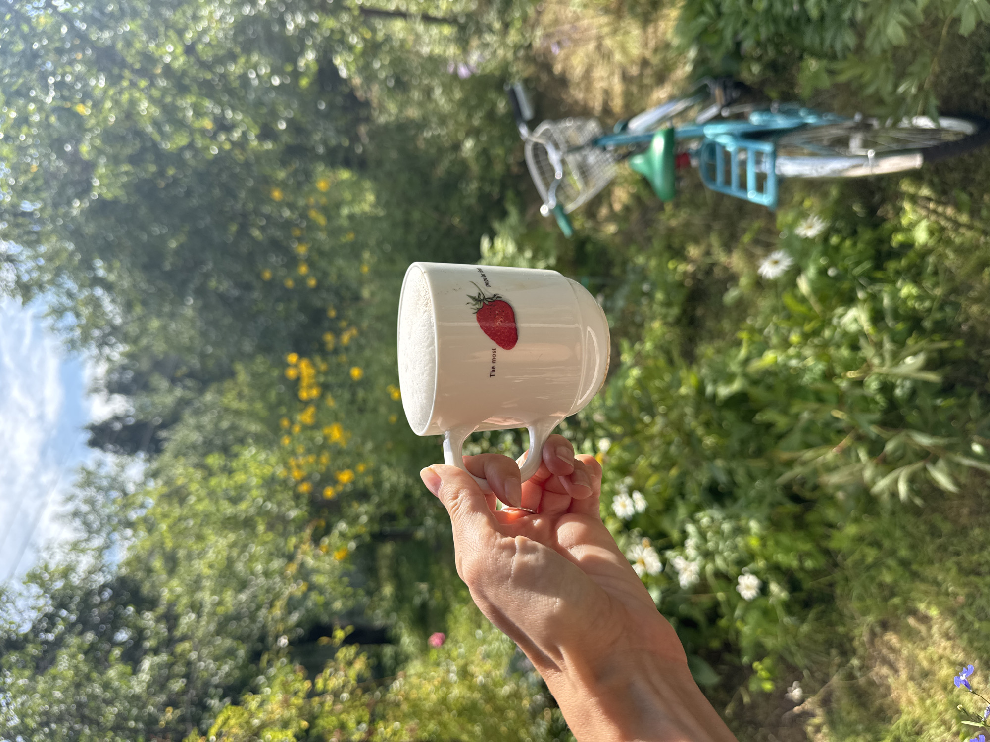 A hand holds a white mug with a strawberry illustration and the words "The most popular fruit" against a blurred background of trees, yellow flowers, and a teal bicycle. The scene appears to be outdoors in a garden or park-like setting, possibly within Krasnaya Presnya SNT, Russia, given the context. The lighting suggests a sunny day.
