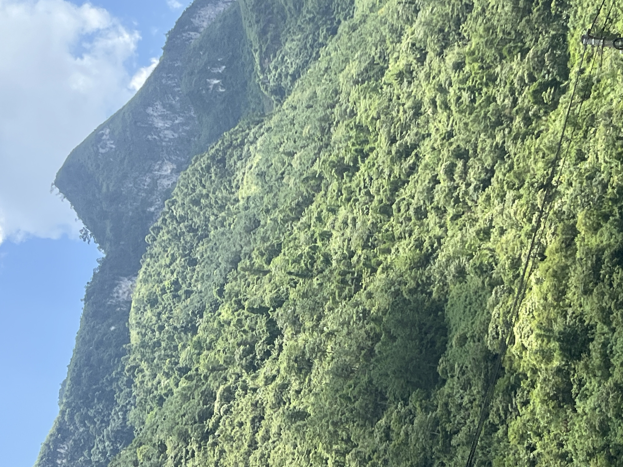 The image shows a steep, verdant mountainside covered in dense forest under a bright blue sky with scattered white clouds. The mountains are lush with trees of varying shades of green, indicating a tropical or subtropical environment. In the upper right of the frame, a distinct, pointed peak rises above the tree line, revealing rocky, lighter-colored cliffs. Towards the bottom left of the image, dark power lines traverse the forested slope, suggesting some human presence or infrastructure nearby. The overall scene depicts a natural landscape characterized by rugged terrain and thick vegetation. This scene is located in Minh Tân Commune, Vietnam.