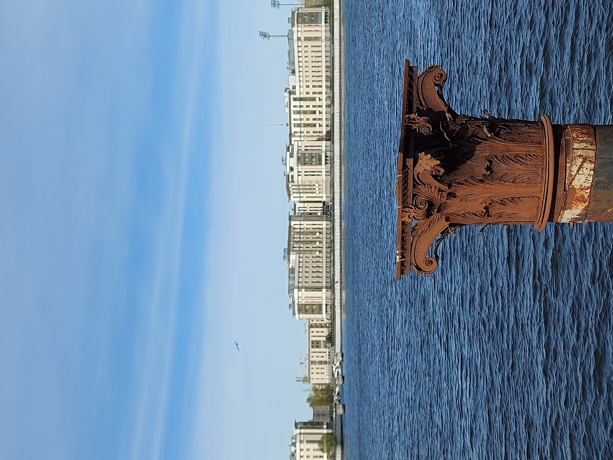 The image depicts a rusted metal column capital overlooking the Neva River in Saint Petersburg, Russia. The capital features ornate floral and scrollwork details. Behind the column, the river stretches into the distance, bordered by contemporary multi-story buildings. The sky is blue with soft clouds. A small bird is visible in the sky. The water surface is rippled.