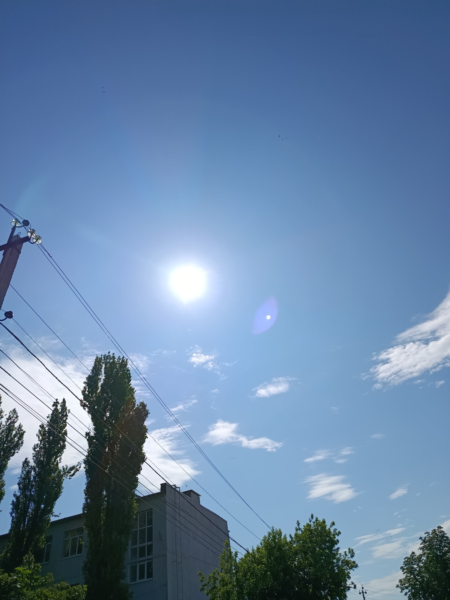 The image shows a bright, sunny day in the city of Marx, Russia. The sky is a clear, vibrant blue with a few wispy white clouds scattered across it. The sun is high in the sky, casting a strong glare and creating lens flare on the camera. In the foreground, there are several tall, slender trees with dark green foliage, some of which are silhouetted against the bright sky. A multi-story building with a light-colored facade and numerous windows is visible behind the trees. Overhead, a wooden utility pole with electrical wires strung between it and other unseen poles stretches across the frame. The wires are taut and create diagonal lines against the sky. There are also several small, dark shapes in the sky that appear to be birds in flight. The overall impression is one of a typical summer day in an urban or suburban setting.