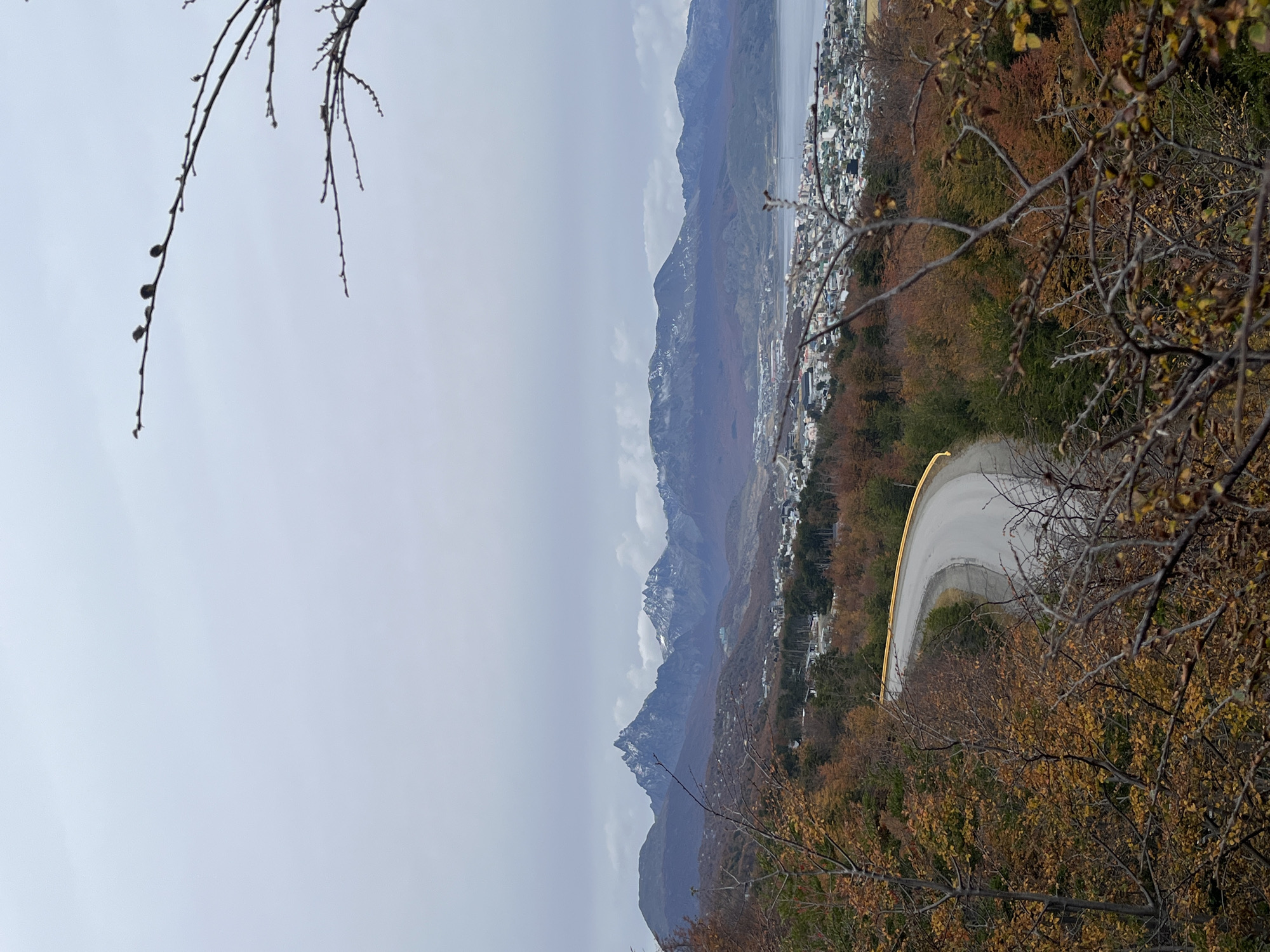The image is a landscape photograph taken from an elevated position near Ushuaia, Argentina. The view includes a stretch of winding road with a yellow guardrail, descending through autumn foliage-covered hillsides. In the mid-ground are buildings of Ushuaia, bordering a body of water. Behind the city, a range of mountains rises, their peaks partially obscured by clouds. The sky is overcast. Tree branches, some with buds, frame the top and right sides of the shot, suggesting the vantage point is within a wooded area.