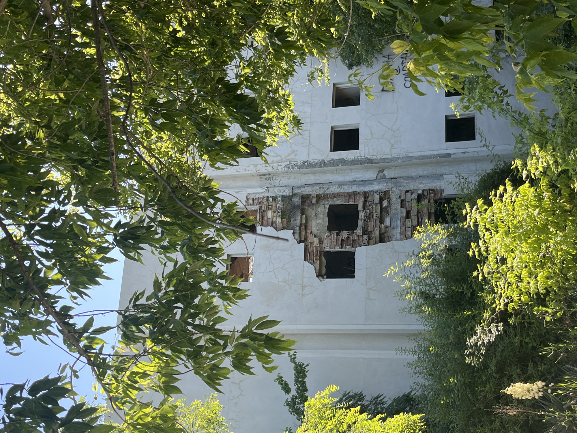 The image captures the facade of a decaying building, possibly an abandoned structure, in Varna, Bulgaria. The building, painted white, shows significant signs of disrepair. A large section of the exterior wall has crumbled away, revealing exposed brickwork and several empty window openings. The wall itself is cracked and weathered, with some graffiti visible on the right side, including the word "SPARTAN".
The building is partially obscured by lush green foliage and tree branches, suggesting it is overgrown with vegetation. The leaves are brightly lit by sunlight, indicating a clear day. In the lower left of the image, a tall, pale flower spike emerges from a cluster of green plants. The overall scene suggests an urban environment where nature is reclaiming a forgotten structure.