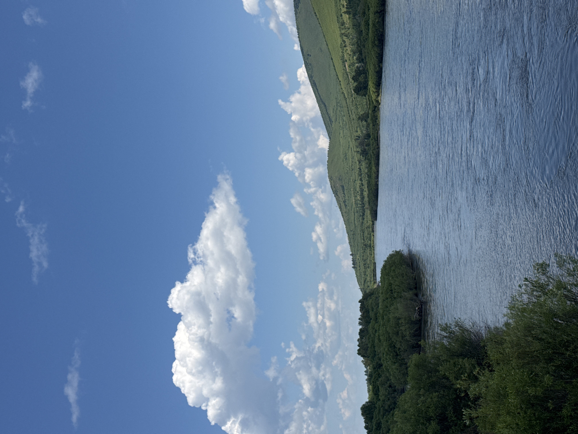 A wide, calm river flows through a natural landscape under a bright blue sky with scattered white clouds. The left bank of the river is lined with dense green trees and bushes, appearing lush and overgrown. The right bank rises into a series of gentle, green, treed hills. The water reflects the sky and the surrounding greenery.