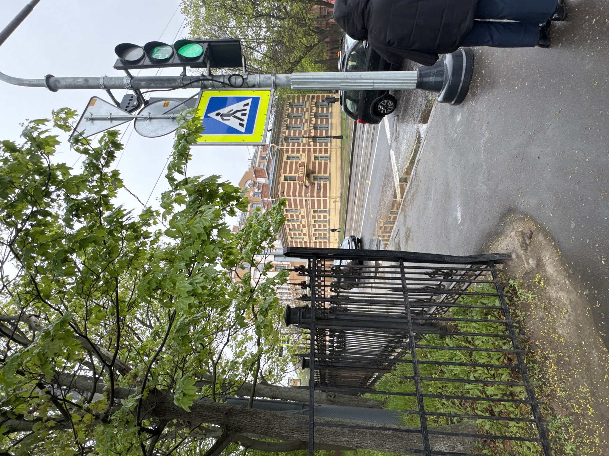 The image depicts a street scene in Saint Petersburg, Russia. A traffic light is visible with the green light illuminated, situated above a pedestrian crossing sign. A person in a dark jacket and blue pants is standing on the wet pavement next to the traffic light. A black car is partially visible, parked near the curb. A black metal fence lines the sidewalk, separating it from a grassy area with small yellow flowers scattered on the ground. A tree with green leaves is on the left side of the image. In the background, a building with a tan and red patterned facade can be seen across the street. The weather appears overcast. Tram tracks run along the street.
