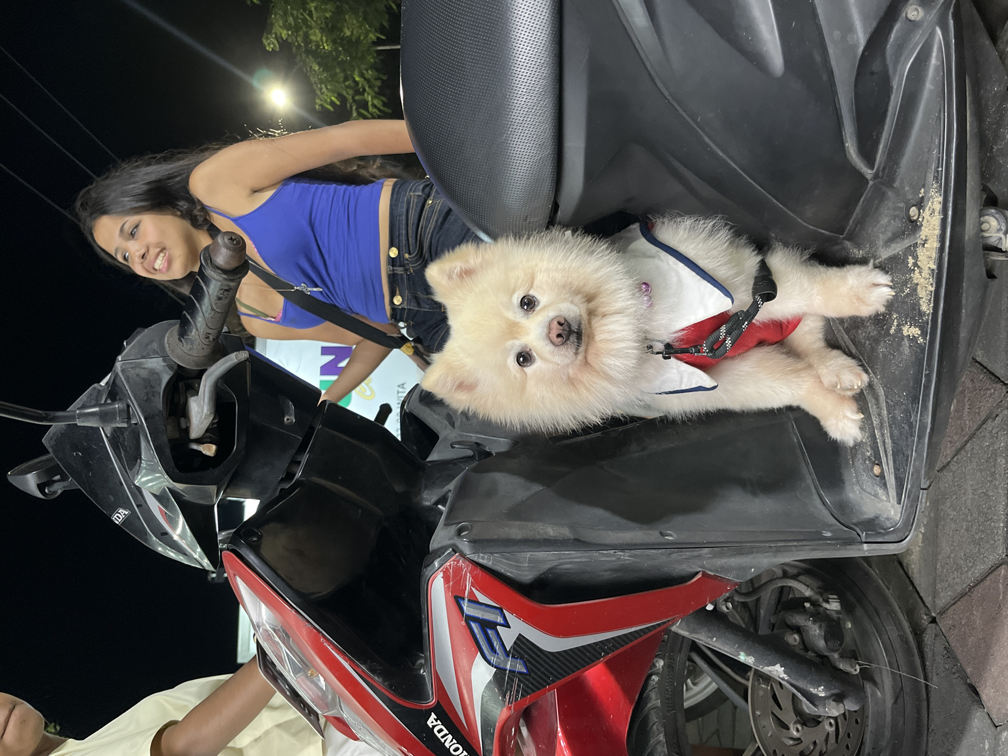 A cream-colored Pomeranian dog wearing a white vest with red and blue trim sits on the floorboard of a red and black Honda scooter at night in Kuta Selatan, Indonesia. The dog is facing the camera with its front paws on the floorboard. A young woman with long dark hair, wearing a blue tank top and jeans, is partially visible behind the dog, looking to her right and smiling. The scooter has "HONDA" and "FI" decals. The background is dark, with some trees and a street light visible. The ground is paved with interlocking bricks.