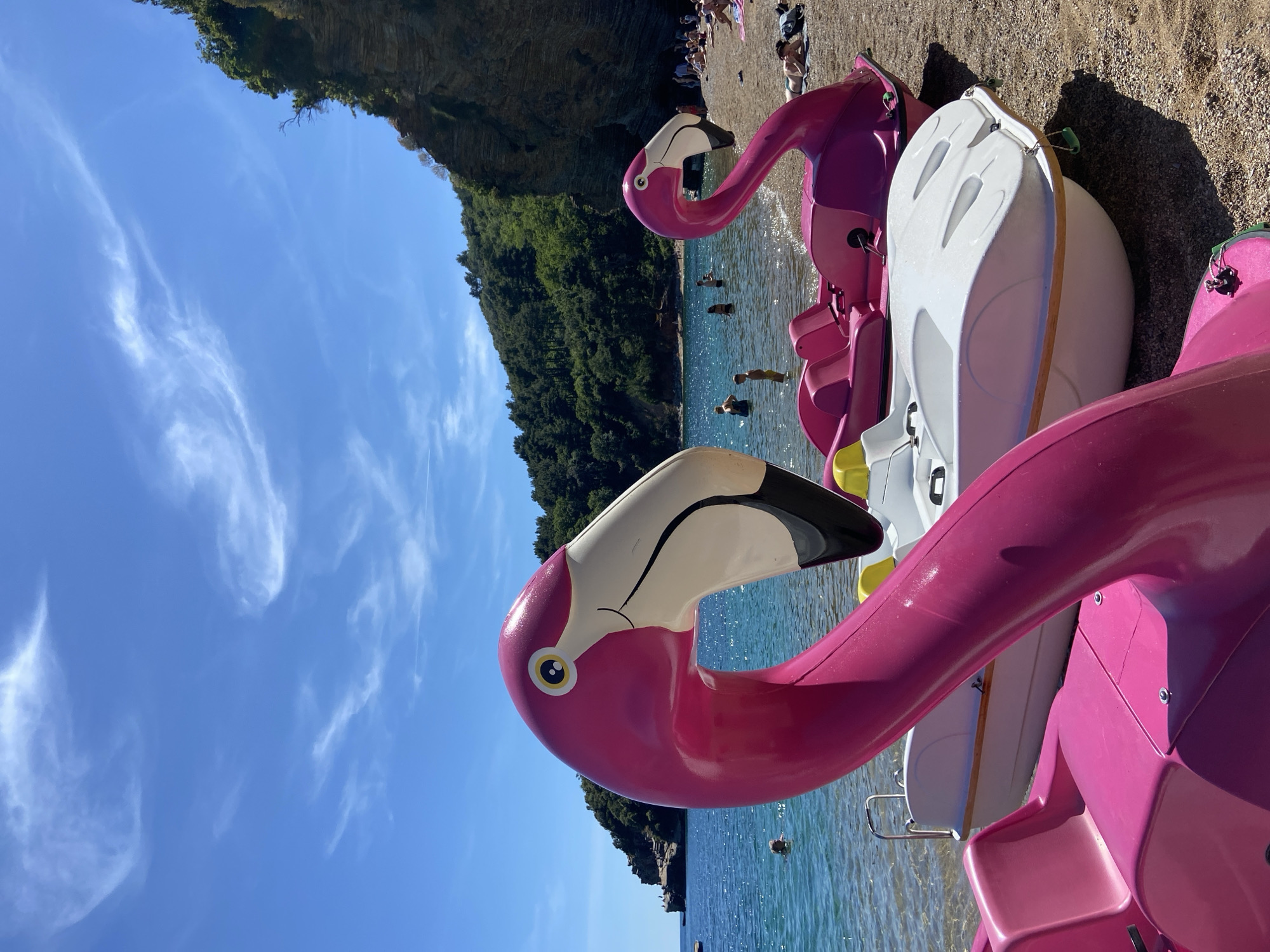 The image shows a sunny beach scene with several pink flamingo-shaped pedal boats lined up on the sand. The boats have white seats and yellow accents. In the background, there is a blue sea with people swimming and a rocky, tree-covered cliff. The sky is blue with wispy white clouds. People are also visible sunbathing on the beach in the distance. The location is likely near Budva, Montenegro, given the typical Adriatic coastal scenery.