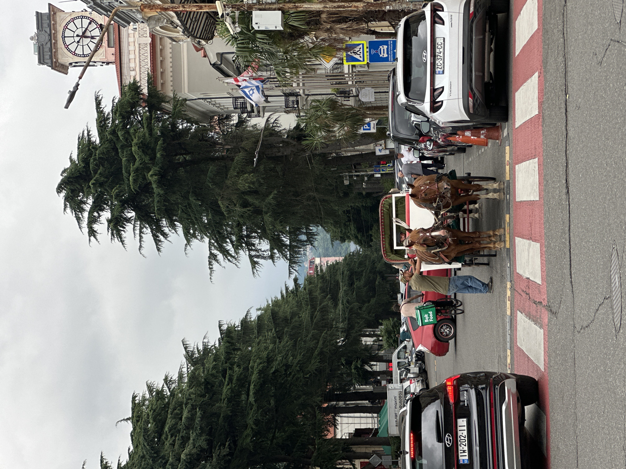 The image shows a street scene in Batumi, Georgia. In the foreground, a black Hyundai Santa Fe SUV is parked on a pedestrian crossing. To the right, a white Hyundai Tucson SUV is also parked, with its rear facing the camera. Between the two SUVs, a horse-drawn carriage is stopped. Two horses are harnessed to the carriage, and a driver is standing next to them. The driver is wearing a green shirt and blue jeans. A person in the carriage appears to be a passenger. In the background, there is a row of tall cypress trees lining the street, and several buildings, including one with a large clock tower. There are other cars and a white van on the street, as well as a person on a bicycle with a green "Bolt Food" box on their back. The sky is overcast. The overall impression is of a busy urban street with a mix of modern vehicles and traditional elements like the horse-drawn carriage.