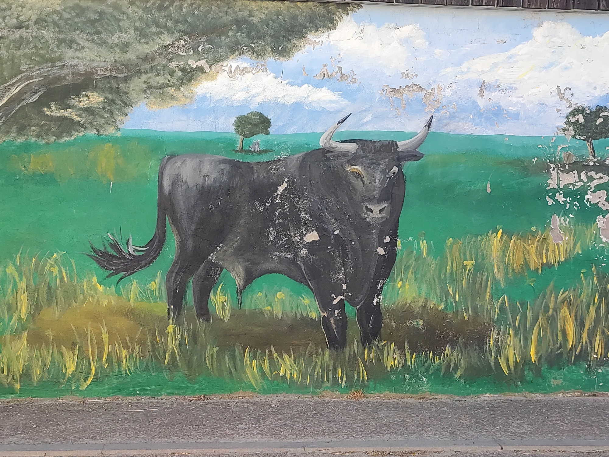 This is a photograph of a mural painted on a wall in Traspinedo, Spain. The mural depicts a dark-colored bull standing in a green field with tall, yellow grass. The bull has a muscular build, curved horns, and a tail that sweeps to its left. In the background, there is a bright blue sky with white clouds. To the left of the bull, a large tree with green foliage is visible. Further in the distance, on the right side of the mural, a smaller tree with a rounded canopy stands. The mural appears to be aged, with visible chipping and peeling paint, particularly in the sky area and on the bull's body. The lower edge of the mural transitions into a grey, textured surface that resembles a road or sidewalk, with a thin horizontal line near the bottom of the image suggesting a curb or pavement edge. The overall scene evokes a rural or natural setting.