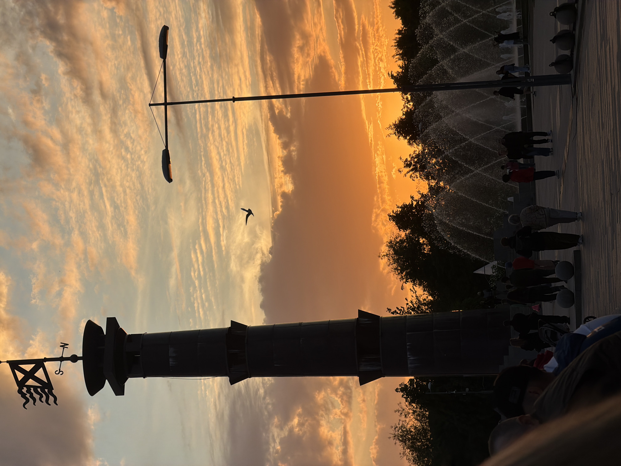 The image depicts an outdoor public space in Saint Petersburg, Russia, at sunset. The sky is a dominant feature, filled with dramatic streaky clouds in warm golden, orange, and soft blue tones.
On the left, a tall, dark, cylindrical monument stands against the bright sky, its silhouette prominent. It features a decorative top, including what appears to be a weather vane resembling a stylized ship or flag. To the right of this monument, a lone bird is captured mid-flight, silhouetted against the colorful horizon. Further to the right, a tall, dark lamppost with two horizontal lights is also silhouetted.
The right side of the scene is bustling with activity around a large fountain, which sprays intricate patterns of water jets. Numerous people are gathered in this area, their figures mostly silhouetted against the bright background and the dark outlines of trees. They appear to be walking, standing, and observing the fountains, suggesting a leisurely evening activity. In the extreme foreground, parts of individuals are visible, adding to the sense of a populated public area. The warm, soft light of the setting sun creates a peaceful and inviting atmosphere. No visible text is present in the image.