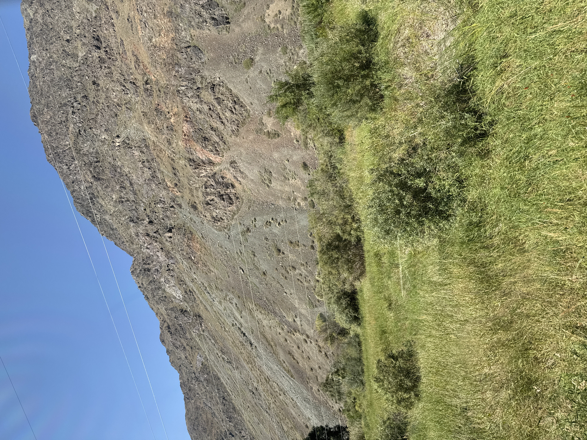 The image shows a wide, arid mountain slope under a clear blue sky. The mountain is covered in loose rocks and scree, with patches of sparse, dry vegetation. Several power lines are strung across the mountain face, stretching from left to right. Below the mountain, there is a lush, green meadow dotted with various bushes and trees. The meadow appears to be growing alongside a riverbed, as indicated by the dense vegetation. The light suggests it is daytime, likely late morning or early afternoon, with the sun high in the sky. There are no people or animals visible in the image. The location is specified as Krasnyy Most, Kyrgyzstan.