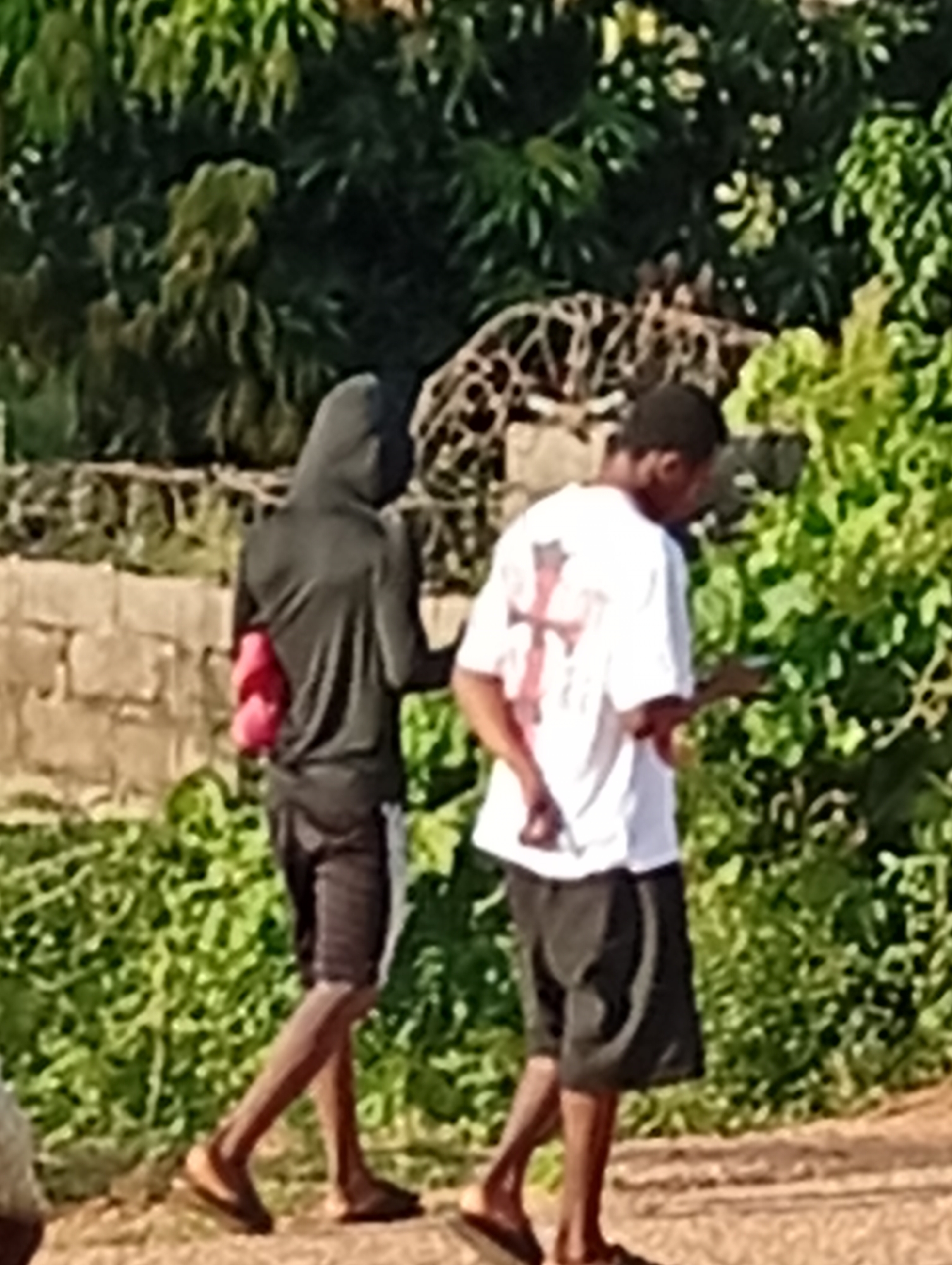 In Adankolo, Nigeria, two individuals are captured walking outdoors. The person on the left is wearing a dark hooded jacket, black shorts, and appears to be carrying two red objects under their left arm. They are wearing sandals. The person on the right is wearing a white t-shirt with a red cross emblem on the back, black shorts, and sandals. They are walking slightly ahead of the first individual. The background features lush green foliage, a brick wall, and what appears to be a pattern on a structure further in the background, possibly fabric. The ground is dirt or sand. The image has a slightly blurred quality.