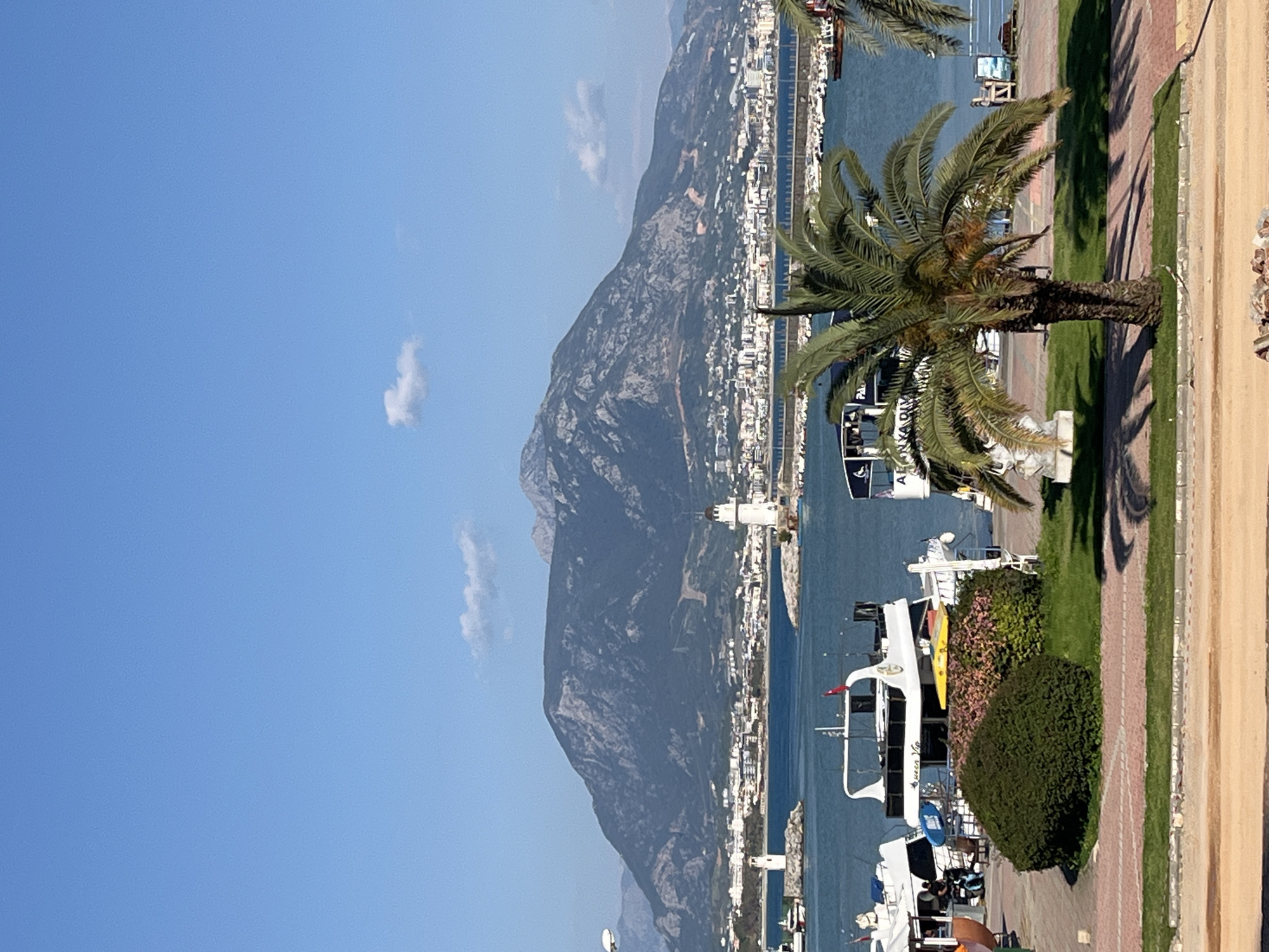 The image, when correctly oriented, depicts a sunny day in a coastal town, consistent with Alanya, Turkey. A clear, bright blue sky with a few scattered wispy clouds fills the top portion of the frame. Below, a majestic, dark, and rugged mountain range dominates the left side, sloping down towards the sea.
At the foothills of the mountains, a city stretches along the coastline, characterized by numerous white and light-colored buildings. The central part of the image is occupied by the calm, deep blue waters of a harbor or marina. Several boats and yachts are docked in the water; one prominent white yacht has "Queen Mia" written on its hull, while another features a bright yellow kayak on its upper deck. A white, lighthouse-like structure is visible in the mid-distance, marking the shoreline.
In the foreground on the right, there's a paved promenade or walkway, consisting of sections of red brick and sandy-toned paving. Lush green grass and neatly trimmed bushes line this area. Multiple large palm trees with robust trunks and verdant fronds are scattered along the walkway, casting distinct, elongated shadows, indicating the sun is high in the sky, likely mid-morning to early afternoon. The scene conveys a tranquil and picturesque Mediterranean setting.