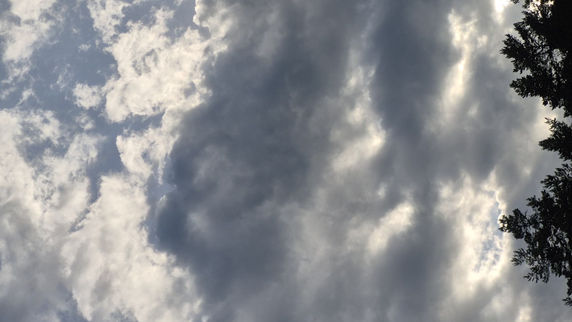 The image shows a cloudy sky above a silhouette of trees. The clouds are varied in texture and density, with some appearing bright white and others dark gray, suggesting a mix of sunlight and shadow. The sky occupies the majority of the frame, with the treetops forming a dark band across the bottom. The scene appears to be outdoors, with no buildings or specific landmarks visible. The location is identified as Ørje, Norway.