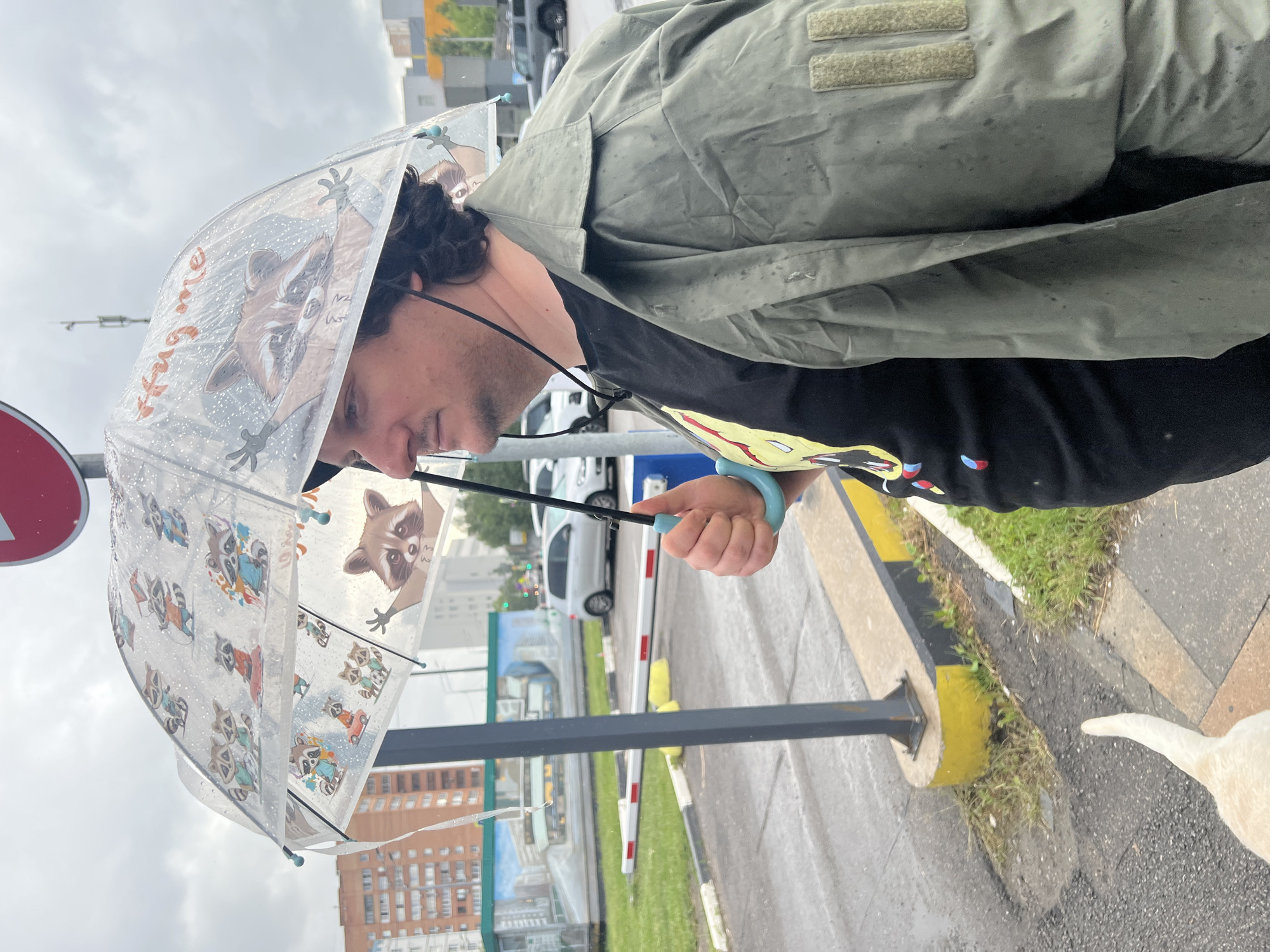 A medium-shot, eye-level, outdoor photograph shows a man holding a clear umbrella with cartoon raccoons on it. The man is wearing a dark t-shirt with a colorful graphic and an olive-green jacket. He is standing on a paved area with a yellow and black curb. In the background, there are buildings, cars, a white barrier with red and white stripes, and a street light. The sky is overcast. The image appears to have been taken in the city of Mytishchi, Russia. A white dog's tail is visible in the lower left corner of the frame.