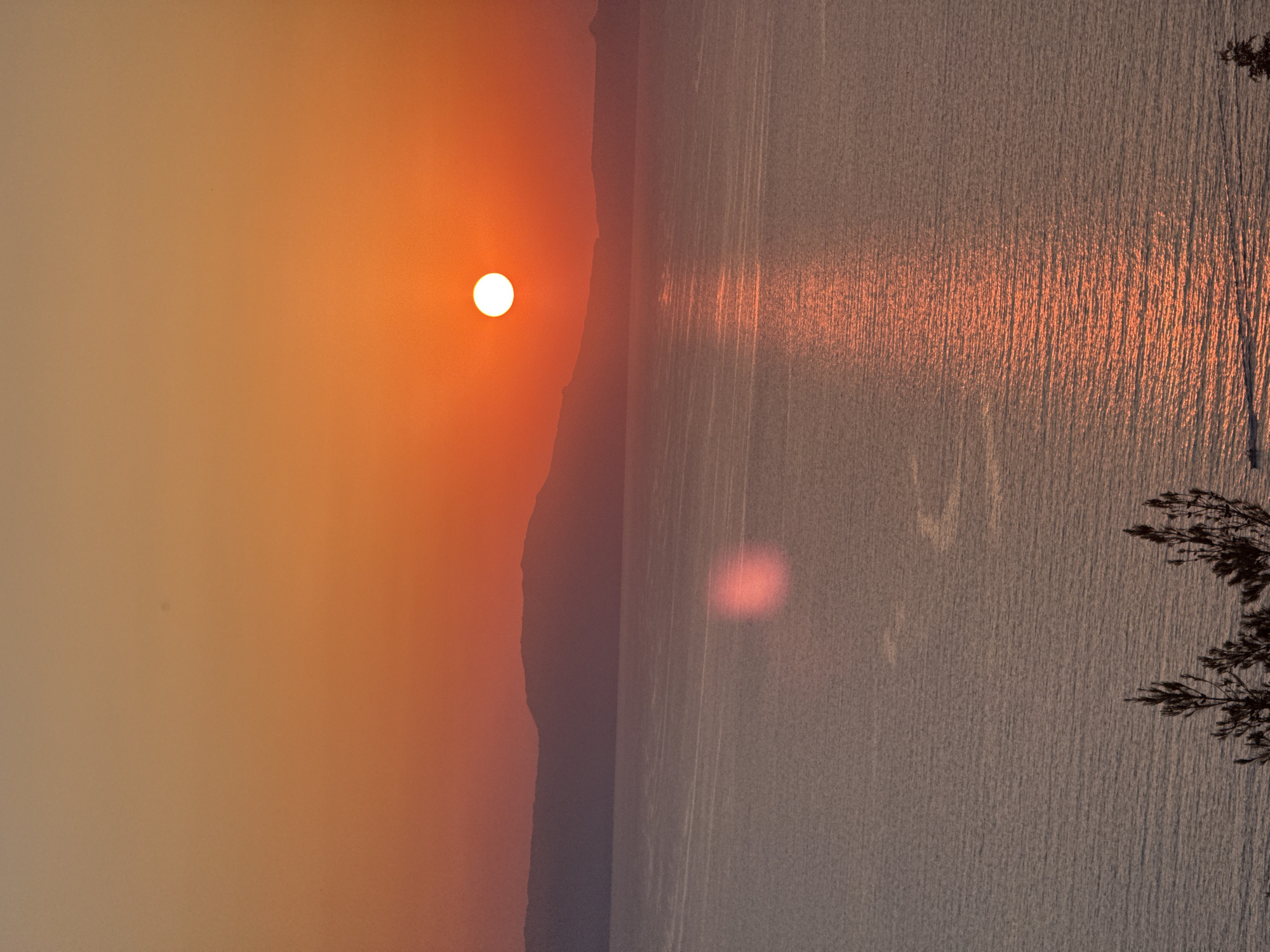 The image depicts a sunset over a body of water. The sun, a bright white orb with a reddish halo, is positioned in the upper right quadrant of the frame, casting a golden-orange glow across the sky. In the middle ground, a silhouetted mountain range stretches across the horizon, its peaks softened by the atmospheric haze. The water in the foreground reflects the sunset, creating a shimmering path of light that leads towards the viewer. A faint pink lens flare is visible on the water's surface. In the lower foreground, the dark silhouettes of pine trees frame the scene. The overall impression is one of a tranquil and serene natural landscape.