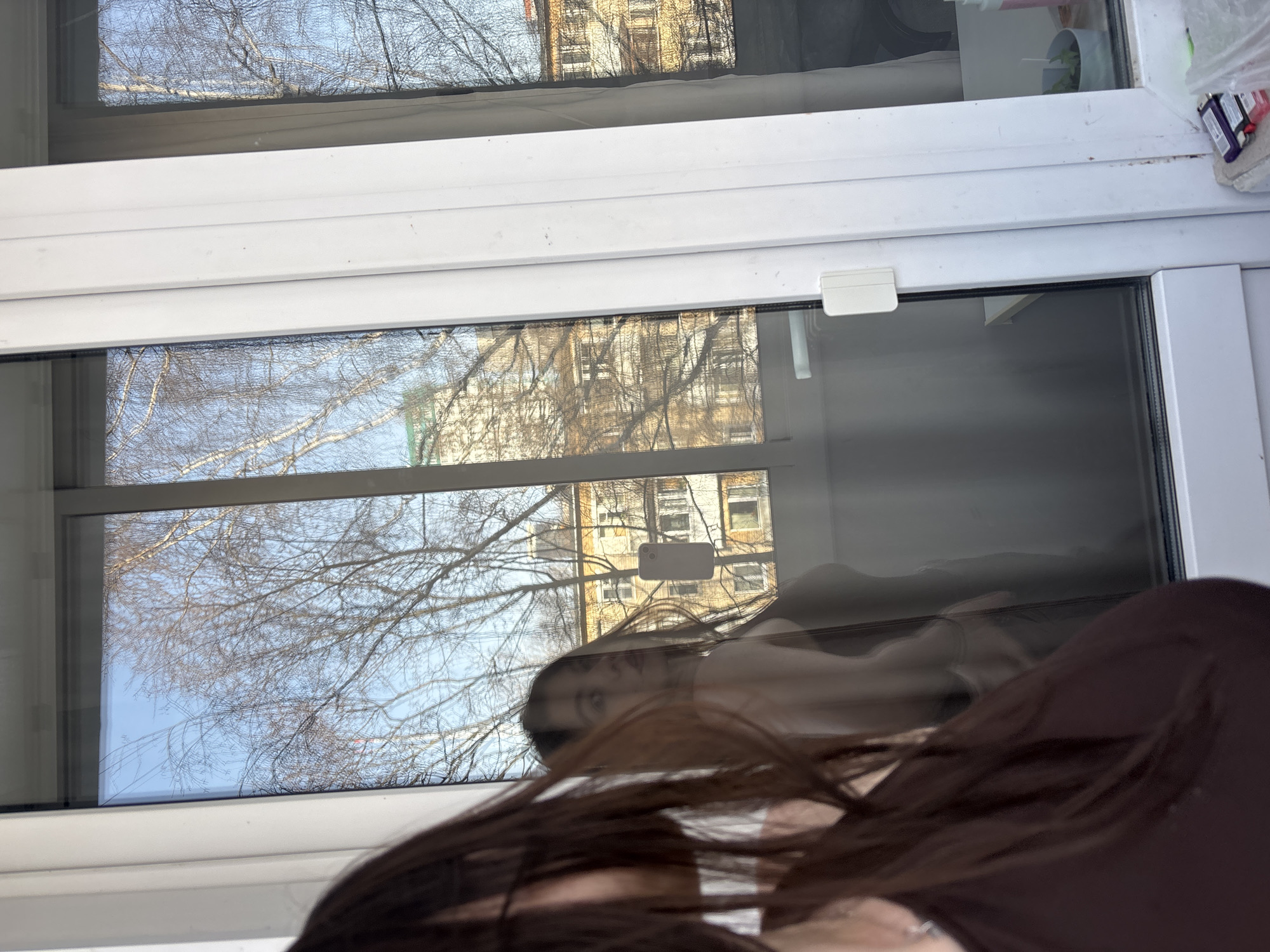 A two-pane window is visible, reflecting a building exterior and bare tree branches. The reflection includes a person with long, dark hair, wearing a brown top. The window frame is white, and the upper part has a plant and other items blurred in the background. Location is determined by the building exterior reflected to be in Perm, Russia.