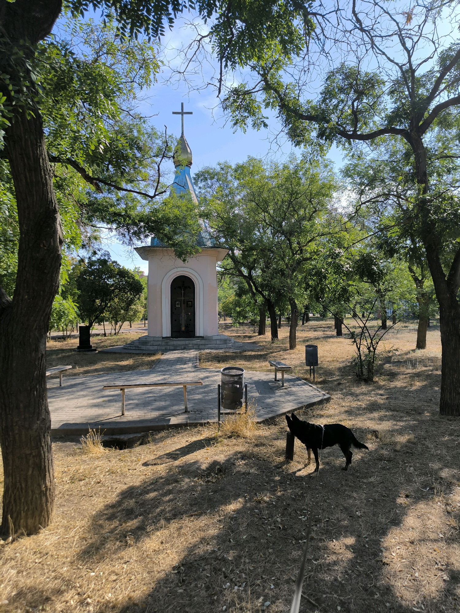 The image shows a small chapel with a blue and gold dome and a cross, situated in a park-like setting. The chapel appears to be made of light-colored stone and has a large arched doorway. Surrounding the chapel are numerous trees with green foliage, casting shadows on the dry, brown grass and fallen leaves. There are several benches and trash cans scattered throughout the area, suggesting it is a public space. A black dog is standing in the foreground, facing to the left, with a leash visible extending towards the bottom of the frame. The sky is blue with some scattered clouds. The overall scene depicts a quiet, sunny day in a park with a religious structure. This appears to be the Chapel of the Holy Right of the Mother of God in Mykolaiv, Ukraine.