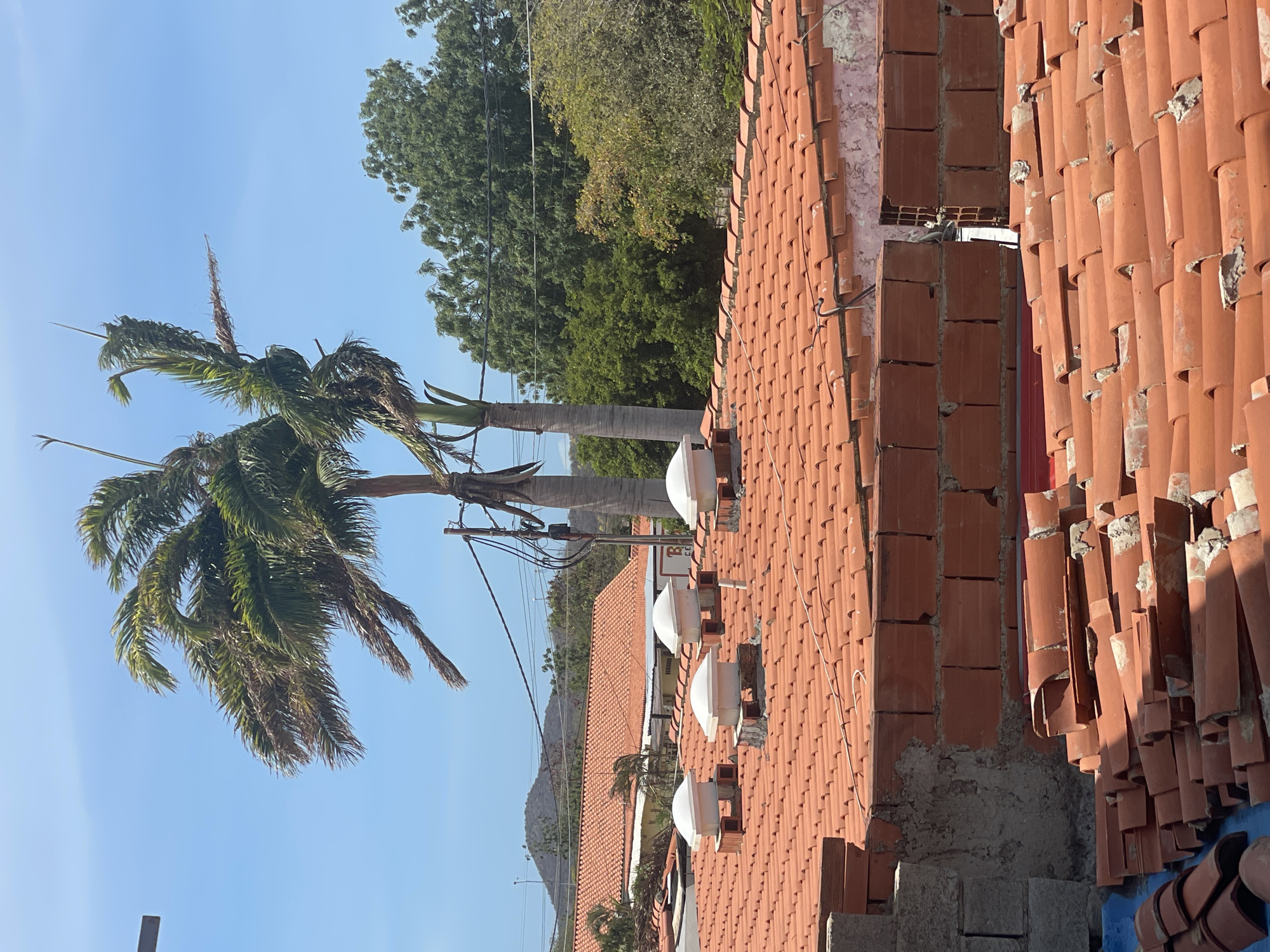 This image depicts a sunny daytime scene in Altagracia, Venezuela, characterized by a clear blue sky overhead. In the foreground, a partially constructed brick wall and a concrete block structure are visible, with loose, orange-brown clay roof tiles stacked on a blue tarp. Directly behind this, a large section of a roof covered in identical orange-brown clay tiles slopes downwards. Four white, dome-shaped ventilation units, each mounted on a short brick base, are evenly spaced across this tiled roof.
In the midground, two tall palm trees with green fronds, appearing somewhat wind-blown, ascend towards the sky. A utility pole with multiple dark power lines is affixed to the rightmost palm tree. Further back, more residential structures with similar orange-tiled roofs are visible, interspersed with dense green foliage. One distant building displays partial lettering "B CE" on its facade. In the background, under the clear sky, light-colored, rolling hills are present. No people or active interactions are visible in the scene.