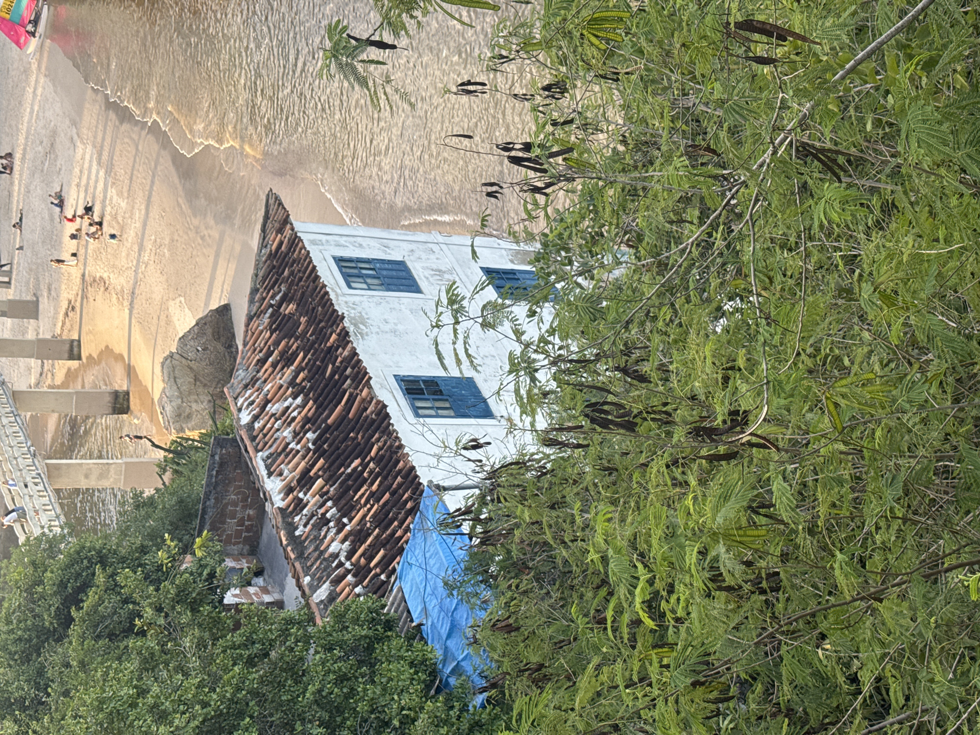The image shows a view from a hillside overlooking a beach and a body of water, likely the Atlantic Ocean, in Niterói, Brazil. In the foreground, dense green foliage with seed pods obscures part of the view. A white building with a terracotta tiled roof and blue shutters is partially visible behind the foliage. A blue tarp covers a portion of the building's roof. In the middle ground, a sandy beach is lined by the water. Several people are scattered on the beach, some sitting and others standing. A pier or bridge supported by concrete pillars extends from the land over the water. A small sailboat with a pink sail is visible on the water to the right. The overall scene depicts a sunny day at a coastal location.