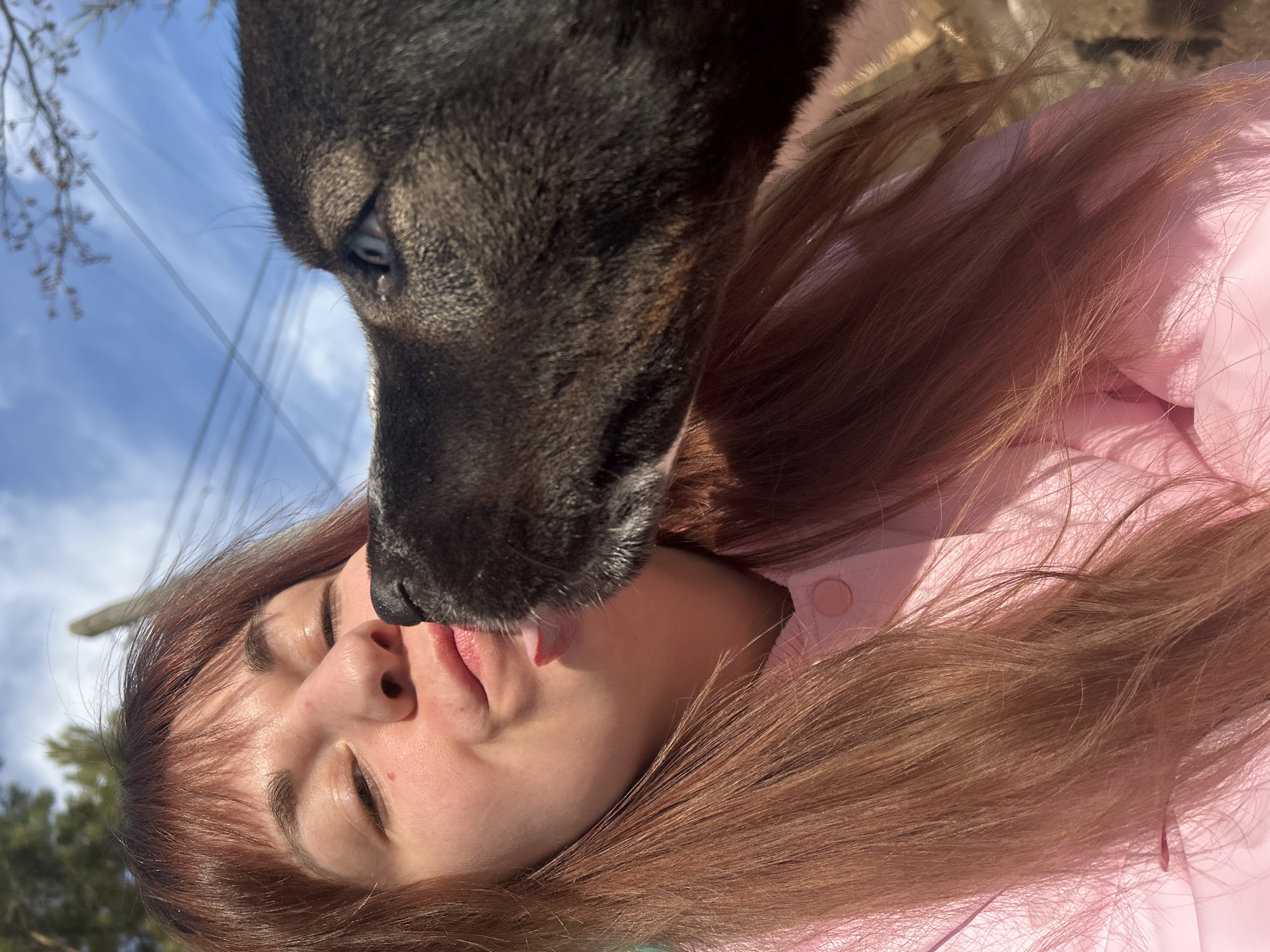 The image presents a close-up, low-angle outdoor scene in the city of Фоки, Russia, featuring a human and a dog interacting. The human, appearing female with light brown hair and wearing a pink garment, occupies the left and central portion of the frame. Her eyes are closed, and her lips are slightly puckered. A dark-furred dog is positioned on the right, with its muzzle and a visible blue eye directed towards the human. The dog's pink tongue is extended and making direct contact with the human's lower lip and chin area. The interaction involves the dog licking the human's face. The environment is outdoors under bright sunlight, indicated by strong shadows and highlights. The background consists of a clear blue sky with faint cirrus clouds, blurred bare tree branches in the upper right, and a dark, vertical pole visible in the upper left. Faint horizontal lines, possibly wires, are also present against the sky.