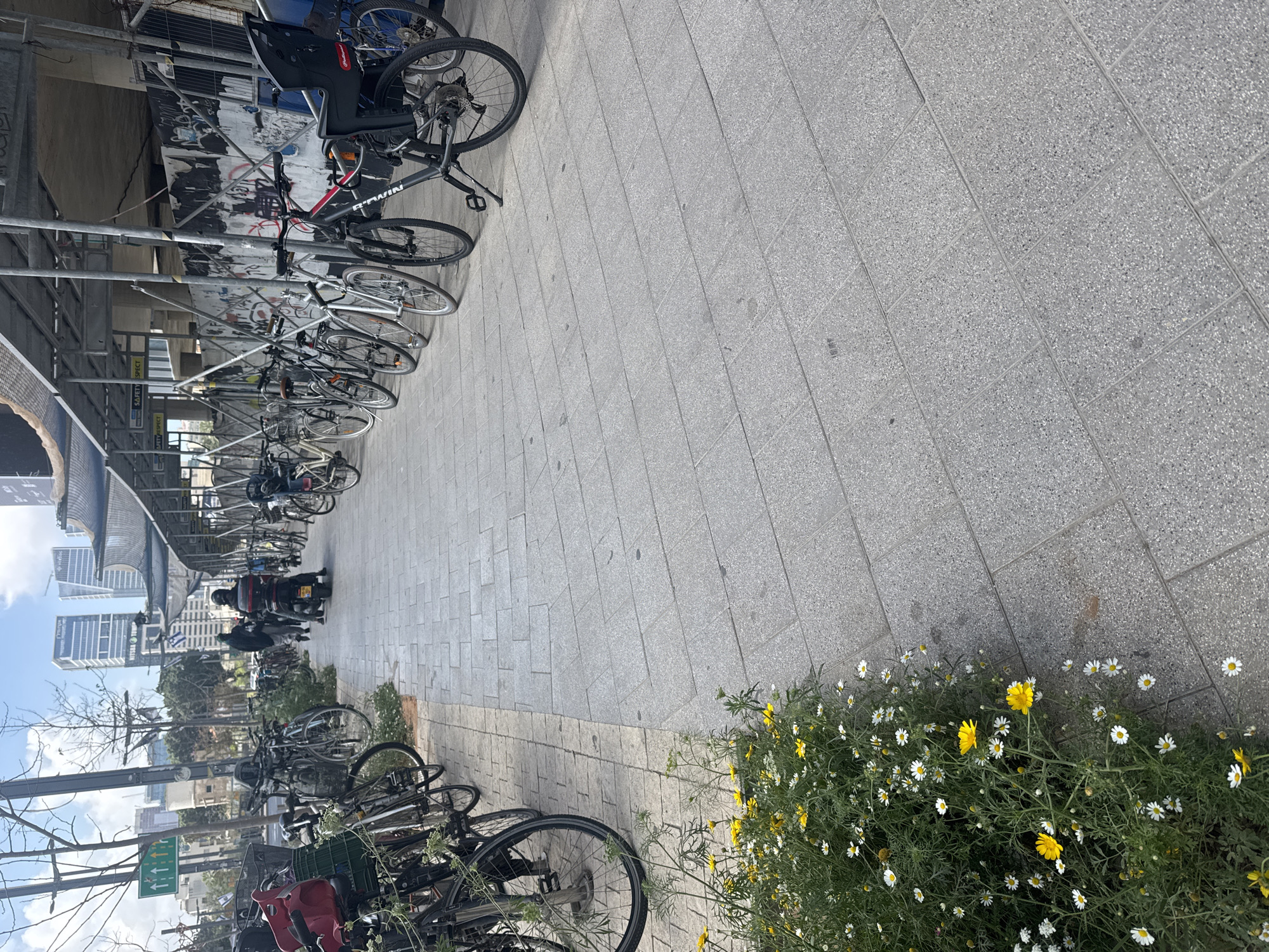 An outdoor urban scene in Tel Aviv, Israel, is depicted during daytime under a clear blue sky. The image is taken along a paved street or promenade. On the left side, numerous bicycles are parked closely together in racks beneath a scaffolding-like structure or building overhang. One prominent bicycle has a child seat attached, and another has the brand name "DARWIN" visible on its frame. The wall behind the bike racks is covered in graffiti.
The ground is paved with light grey, speckled square tiles. In the mid-ground, a person wearing a helmet rides a scooter or motorcycle with another individual seated behind them. Further down the street, more parked bicycles are visible, and several high-rise buildings characteristic of Tel Aviv's modern architecture rise in the background. An Israeli flag is visible flying from a pole among these buildings.
In the foreground on the right, a vibrant patch of green plants features numerous white and yellow daisy-like flowers. leafless trees line parts of the street.
Visible text includes "SAFETY RESPECT" on a sign and "DARWIN" on a bicycle. Some Hebrew text is visible on background buildings, likely "שירותים" (services) and potentially "תל אביב" (Tel Aviv). The scene suggests a busy but ordinary day in a city, with good weather.