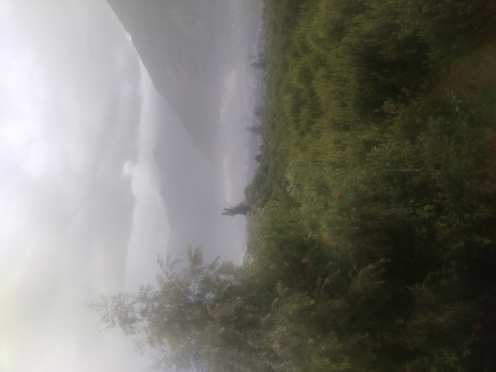 The image captures a misty, overcast day in the region of Patar, India. In the foreground, lush green foliage dominates, with a large tree on the left side displaying long, drooping branches and slender leaves. The middle ground reveals a dense expanse of smaller green bushes and trees. Further back, a distant town or village is partially obscured by a layer of mist, with hints of buildings and a tall, dark, slender tree visible above the mist. The background is defined by large, hazy mountains, their slopes gradually fading into the thick, atmospheric haze. The sky is a uniform pale gray, indicating cloudy conditions. The overall scene evokes a sense of tranquility and the dampness of a misty morning or afternoon.
