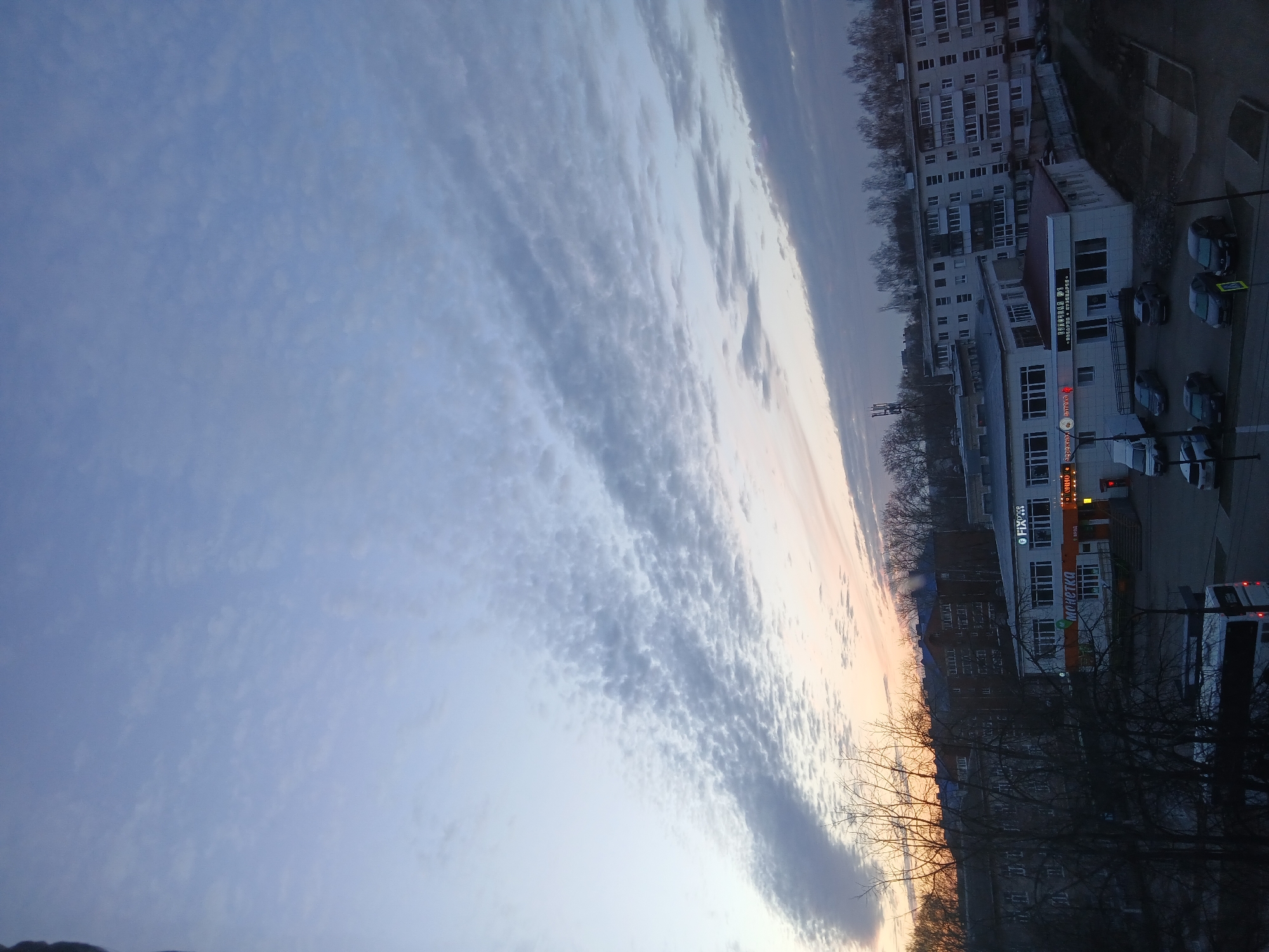 The image presents an early morning cityscape in Chaikovsky, Russia. The sky is dominated by altocumulus clouds, streaked across the frame from the upper left to the lower right. The cloud cover transitions in color from light blue to a band of orange, indicating the approaching sunrise.
Below the sky, the urban landscape includes apartment buildings, bare trees, and street traffic. A multi-story building with commercial establishments is visible, including a store named "Монетка." Several cars are parked nearby. Trees in the foreground frame the lower portion of the image, their branches bare and silhouetted against the sky. The buildings and streets suggest a typical urban residential area.