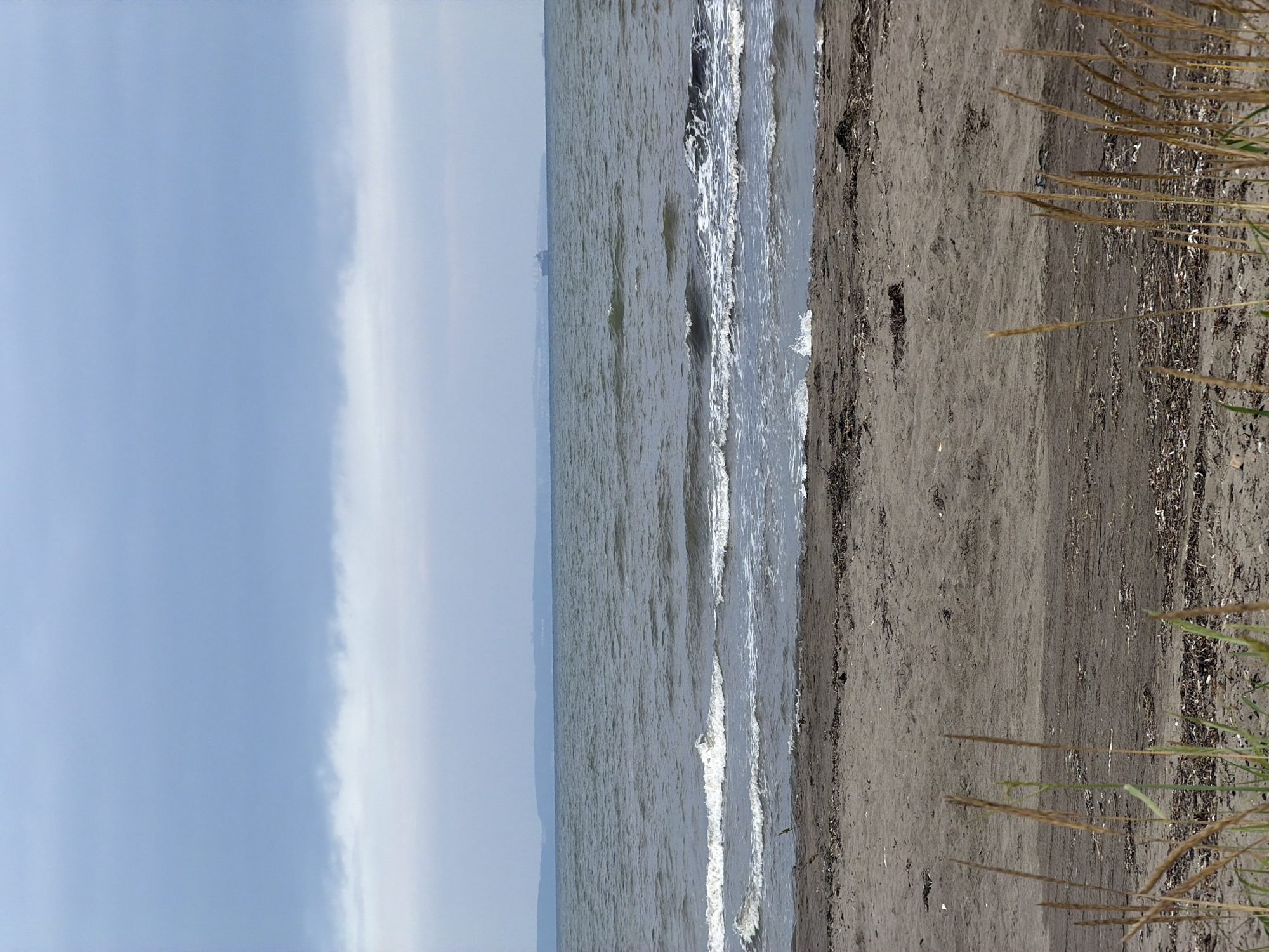 The image depicts a serene, overcast day at a beach. The foreground is a sandy beach with scattered debris, including dried seaweed and grass. In the mid-ground, the dark, choppy waves of the sea break onto the shore under a pale, cloudy sky. In the distance, a hazy landmass stretches across the horizon, with a large ship visible on the water. The overall impression is one of natural tranquility. This scene could be located on the coast of Aniva, Russia, given the geographical context provided.