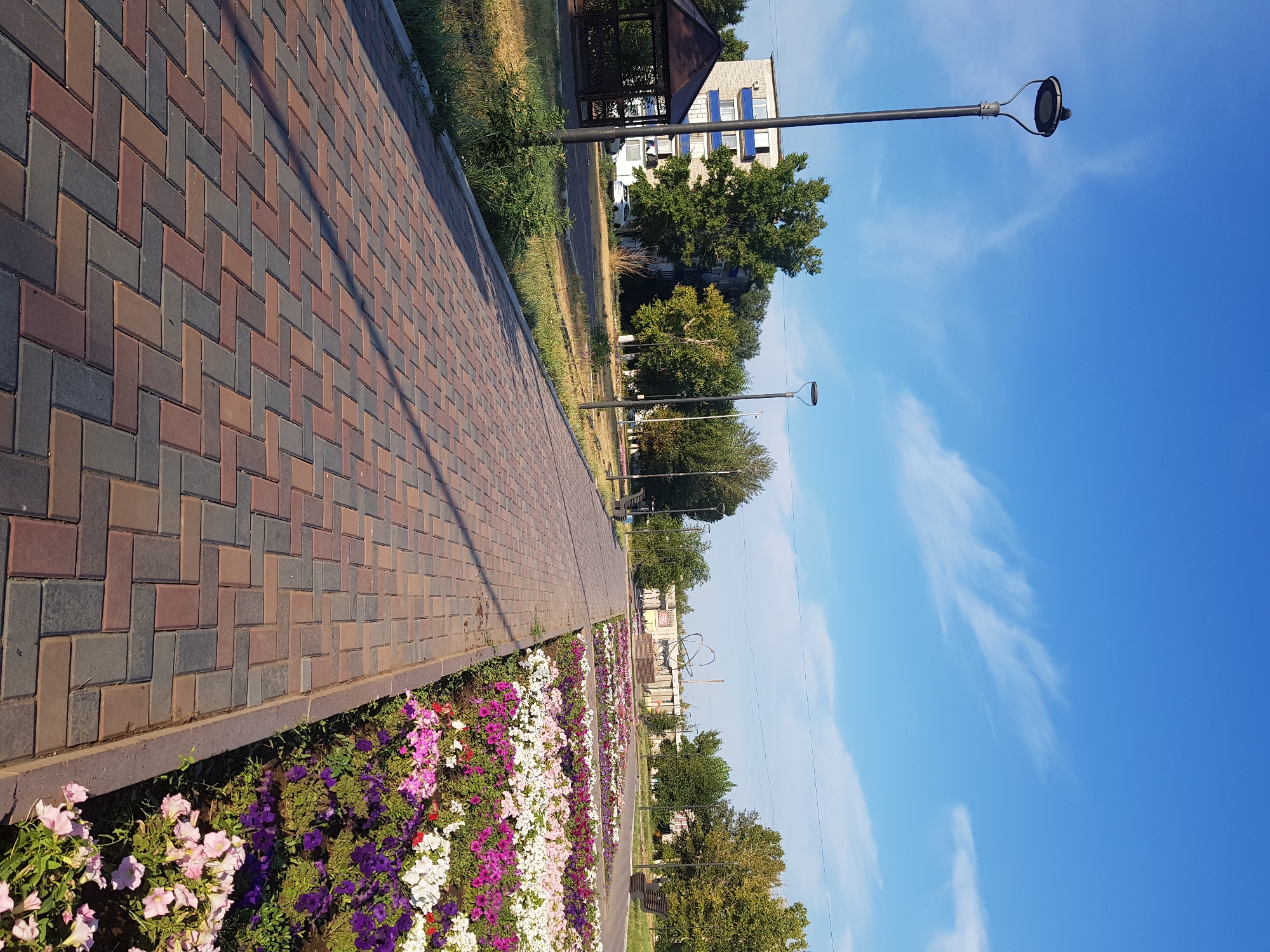 The image depicts a park in the city of Kurchatov, Kazakhstan, on a clear day with a blue sky and wispy clouds. A paved pathway, laid with multicolored rectangular bricks in a herringbone pattern, leads into the distance. On the right side of the pathway, a large flowerbed is filled with a vibrant display of purple, white, and pink petunias. Several lampposts are visible along the pathway, including one in the foreground and another further down. In the background, trees, buildings, and a gazebo can be seen. A white car is parked near a building to the left, and benches are placed along the path.