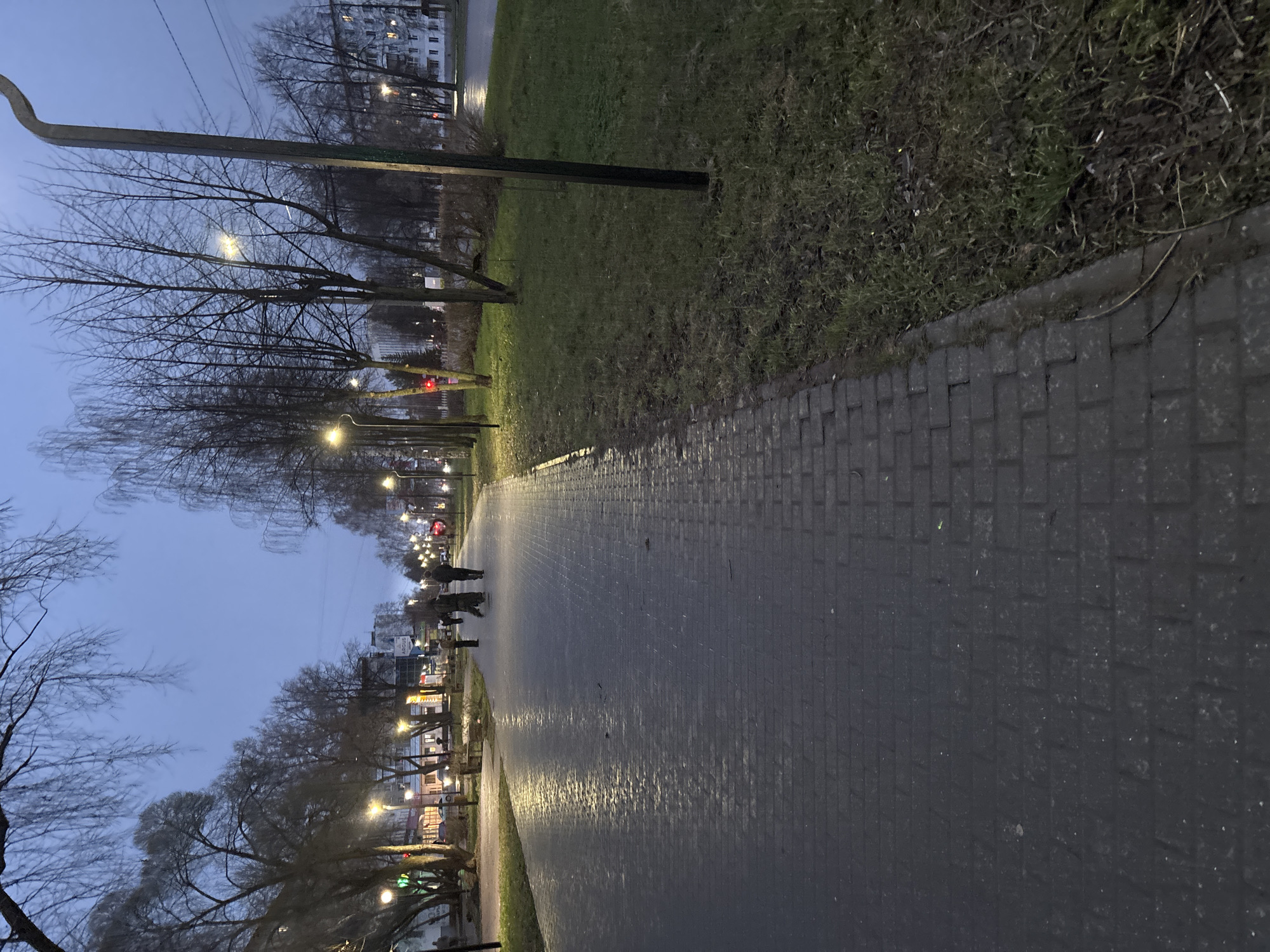 The image captures an outdoor pedestrian pathway at dusk or early night in Chaikovsky, Russia. A wide, dark grey paved path, appearing damp and reflective from moisture, stretches from the foreground into the distance. It is bordered on both sides by strips of green grass and numerous bare deciduous trees, indicating a late autumn or winter season.
Multiple streetlights line the path, casting warm, yellowish light that creates visible reflections on the wet pavement. Several individuals are present on the path; a group of two people walks away from the camera in the mid-ground, and another person is seen further ahead.
In the background, beyond the trees, various buildings are visible. Some appear to be multi-story residential structures with illuminated windows, while others feature commercial signage, one of which faintly displays the word "ARCUS". A red traffic light can be spotted through the bare branches. A large utility pole stands prominently on the left side of the frame, with overhead wires visible against the darkening sky. The scene conveys a calm, ordinary evening ambiance in an urban or suburban setting.
