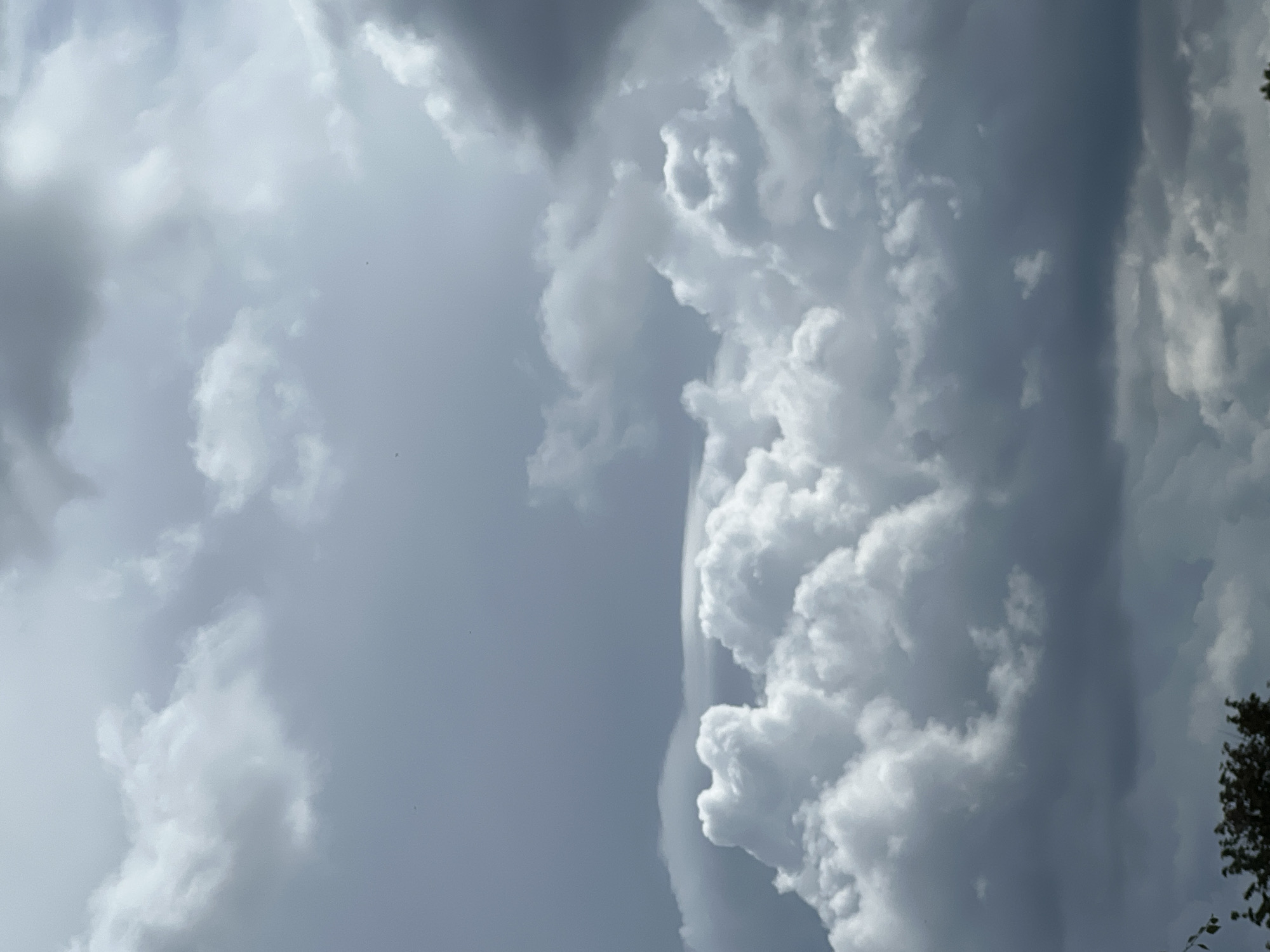 The image is a low-angle shot of a cloudy sky, with the tops of dark green trees visible at the bottom edge. The clouds are a mix of white, puffy cumulus formations and darker, more ominous storm clouds. The lighting suggests it may be overcast or nearing dusk. There are no people or specific city landmarks visible that would indicate a location in Warsaw, Poland. The scene is purely atmospheric.