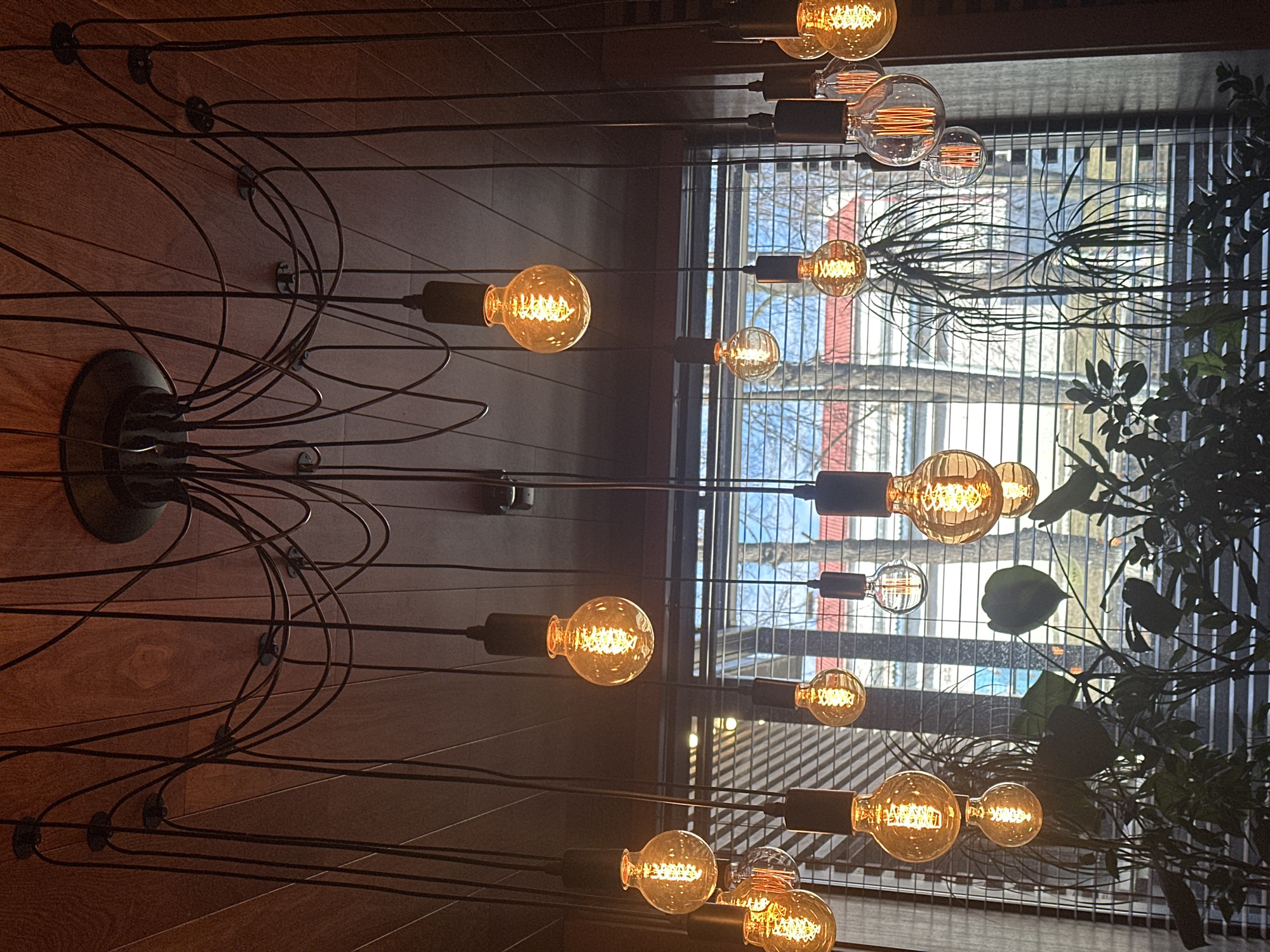 The image shows a cluster of Edison-style light bulbs suspended from a central point on a dark-paneled wall. The bulbs hang at varying heights, their filaments glowing warmly. Thin black wires connect each bulb to the central fixture and are attached to the wall with small black fasteners. Through a window with horizontal blinds, the exterior is visible, appearing to be an urban scene with buildings in Izhevsk, Russia, as suggested. A plant with green foliage is positioned near the window, partially obscuring the view. The overall ambiance is warm and inviting, with a blend of industrial and natural elements.