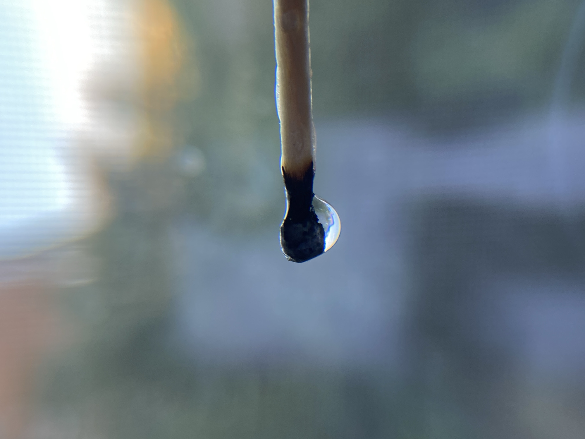 A close-up, macro photograph shows the burnt end of a wooden matchstick, with a single, clear water droplet suspended from it. The matchstick is positioned horizontally, with the burnt head on the left side of the frame and the wooden shaft extending to the right. The burnt head is dark and appears charred, with some texture visible. The water droplet is spherical and refracts light, creating a lens effect that slightly distorts the background. The background is heavily blurred, suggesting it is out of focus. The colors in the background are a mix of soft blues, grays, and some lighter, warmer tones, possibly indicating an outdoor or window view with natural light. The overall impression is a still life composition focusing on the contrast between the dry, burnt matchstick and the liquid droplet. The image was taken in Unknown, Unknown.