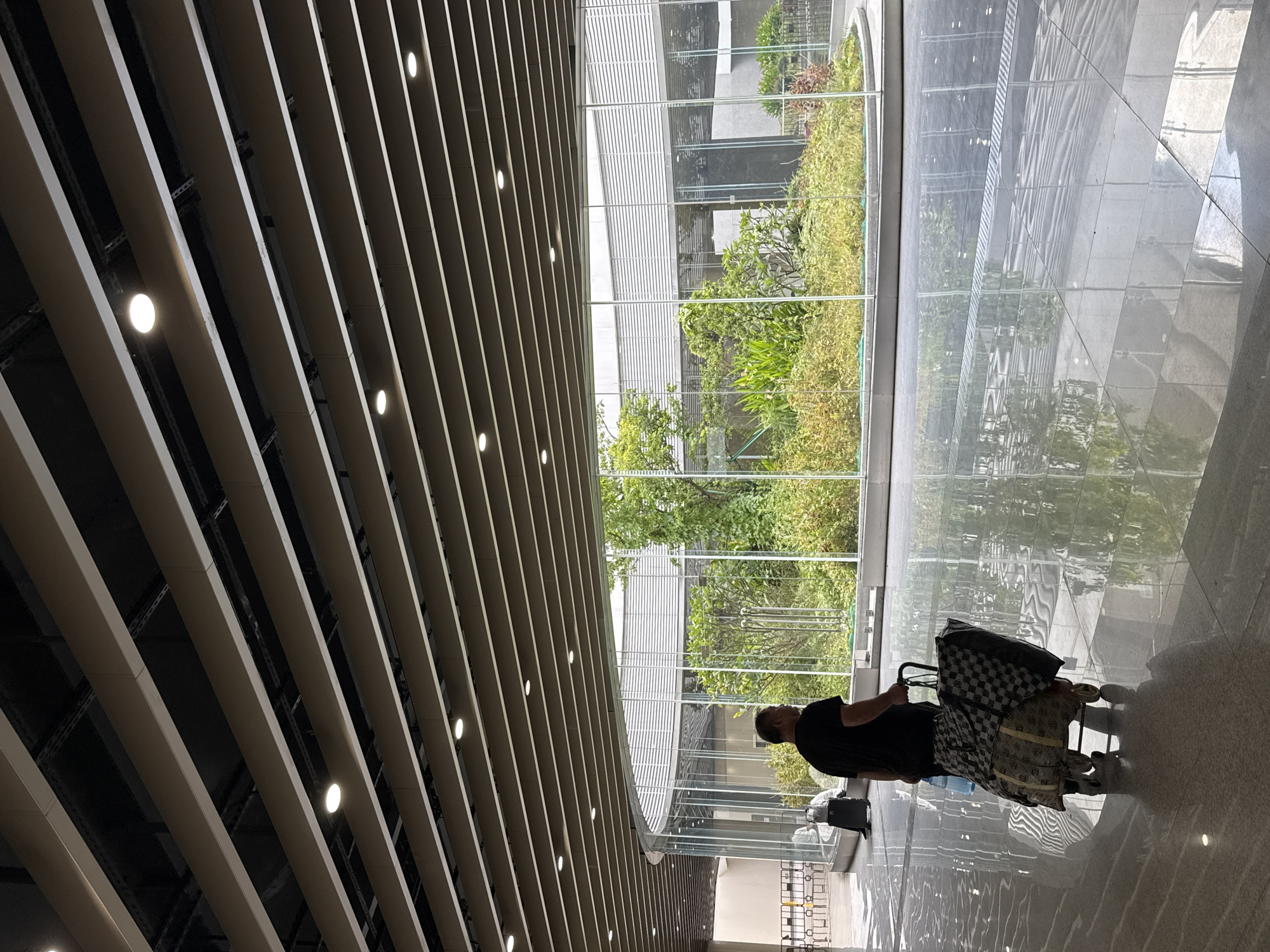 The image shows a man from behind, walking on a polished floor while pulling a luggage cart loaded with two large bags, one checkered and the other patterned with a logo resembling "Chanel". The man is wearing a black t-shirt and dark pants. He is moving away from the viewer towards a large, circular glass enclosure with a lush green garden inside. The enclosure has a slatted ceiling above it. The ceiling of the indoor space is composed of parallel slats with integrated lighting. In the background, to the left, are stanchions and a person in white attire near a doorway. The floor is highly reflective, mirroring the ceiling and the interior garden. The overall setting appears to be a modern, public indoor space, possibly an airport terminal or a large shopping mall in Baiyun District, China.