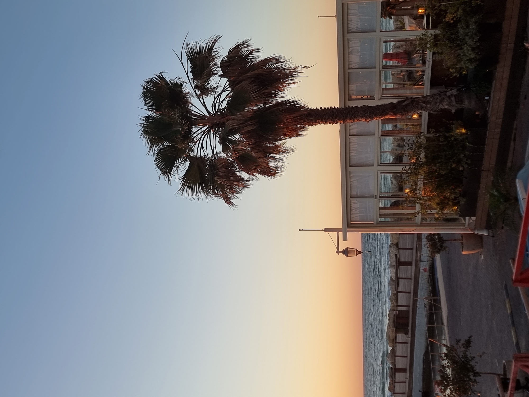 The image captures a serene coastal scene in Tel-Aviv, Israel, at dusk or sunset. The sky, clear and vast, dominates the upper left, transitioning from a light blue at the zenith to a warm, soft orange and yellow glow near the horizon on the right.
A large palm tree stands prominently on the left side, its dark silhouette and detailed fronds contrasting sharply against the bright sky. Its feathery leaves appear full and slightly wind-swept.
On the right, a building with extensive glass windows, likely a restaurant or cafe, stretches along the coastline. The windows reflect the gradient sky and the calm sea beyond. Warm artificial lights emanate from inside the establishment, and a red umbrella can be glimpsed through one of the panes.
Below the building, a paved promenade or walkway runs parallel to the water. The sea extends into the distance, appearing calm with gentle ripples. A traditional-style lamppost with a warm glow illuminates a section of the promenade. Rocky structures or breakwaters are visible along the water's edge, and small potted plants or shrubs are interspersed along the walkway and near the building. No people or visible text are present in the image, conveying a tranquil atmosphere.