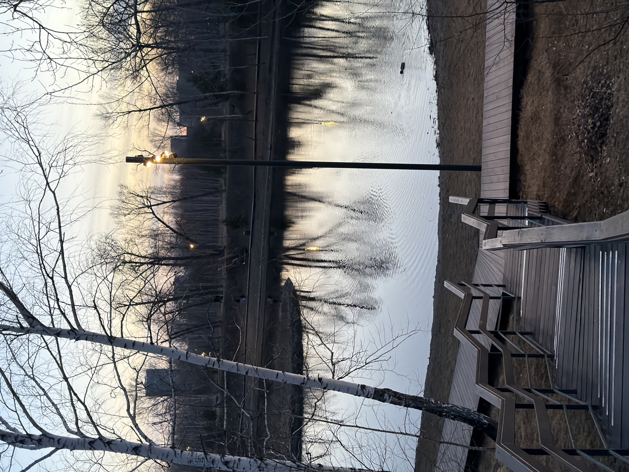 The image depicts a pond or small lake at sunset. The location is Krasnoyarsk, Russia, as evidenced by the birch trees in the foreground and the style of architecture in the background. Bare trees line the edge of the water, their reflections visible on the water's surface. There is a street lamp next to the water, illuminated. A wooden boardwalk with steps is visible on the right side of the frame. There are no people visible in the image. There are no visible actions taking place.