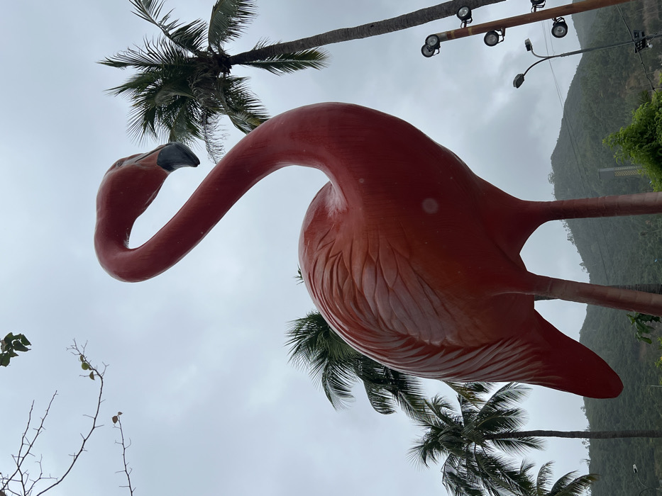 A large, red flamingo statue stands prominently, its curved neck and head silhouetted against a cloudy sky. Palm trees frame the scene, their fronds adding a tropical touch. In the background, a forested hillside ascends, with a few lights and poles visible. The photo is taken from a low angle, emphasizing the statue's size and the surrounding vegetation.