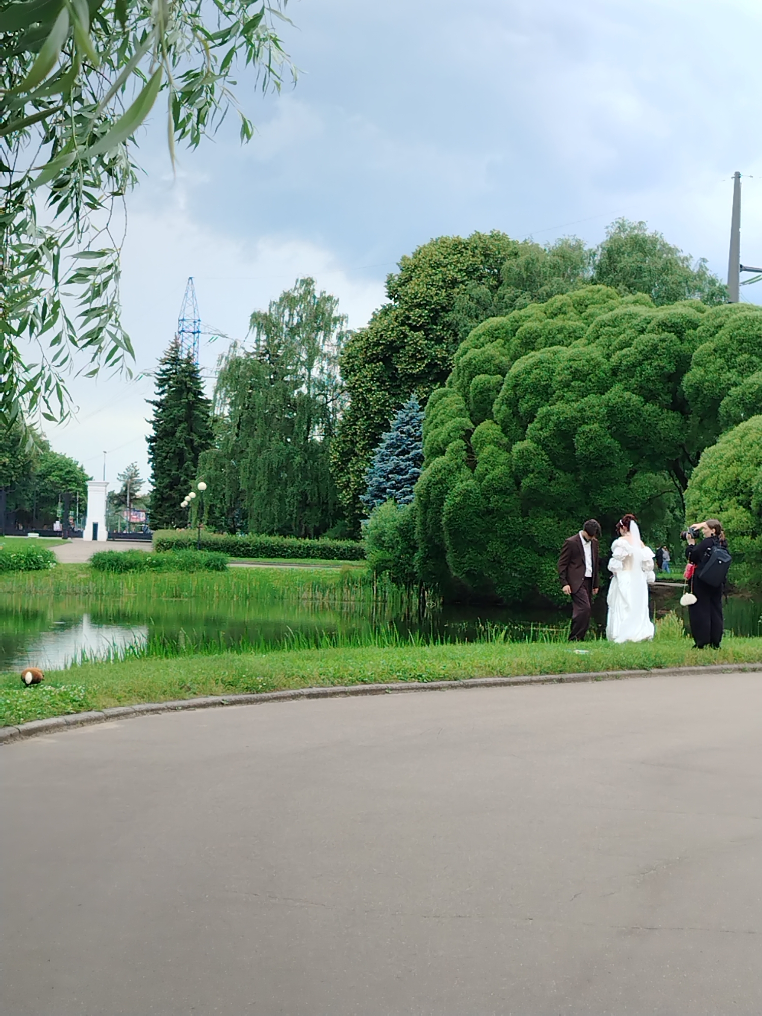 In a park in Moscow, Russia, a wedding party is being photographed near a pond. A bride in a white dress and a groom in a brown suit stand next to the water. A woman with a camera stands in front of them, taking their picture. In the background, lush green trees and a body of water fill the scene. The sky is cloudy.