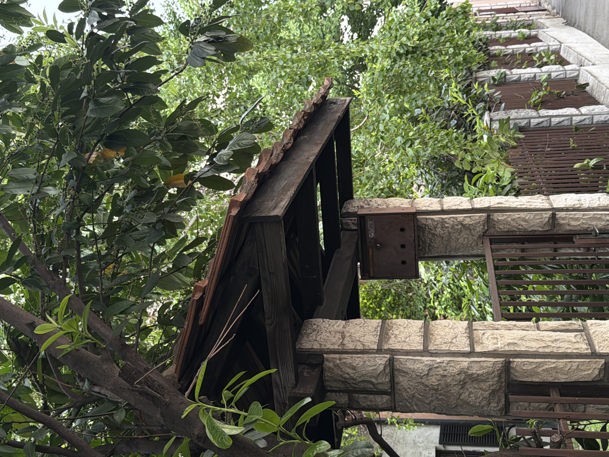 The image depicts a close-up view of architectural elements intertwined with foliage, suggesting an outdoor scene, possibly in a residential or urban garden setting.
**Subjects and Objects:**
* **Architecture:** The primary focus is on the structural components, including a peaked, wooden structure with roofing tiles, and a stone or brick wall with a grid-like feature above. The wood is dark and appears weathered. The stonework is light-colored, with a textured surface.
* **Vegetation:** Green leafy foliage is prominent, partially obscuring and intertwined with the built structures. A tree branch extends into the foreground, further blending the natural and constructed elements.
* **Other Details:** A metal bracket or connector is visible, attached to the wooden structure with rivets or bolts.
**Environment:**
* **Lighting:** The image appears to be taken during daylight hours, with soft, diffused lighting. Shadows are subtle.
* **Setting:** The presence of both vegetation and architectural elements suggests a space where nature and human construction meet. It is possible the image was taken in Belgrade, Serbia, but this detail is not determinable from the visual features in the image.
**Overall Description:**
The scene presents a detailed view of architectural elements juxtaposed with natural greenery. The interaction between these elements creates a sense of depth and complexity. The worn texture of the wood and stonework, combined with the organic growth of the foliage, conveys a sense of age and integration into the environment.