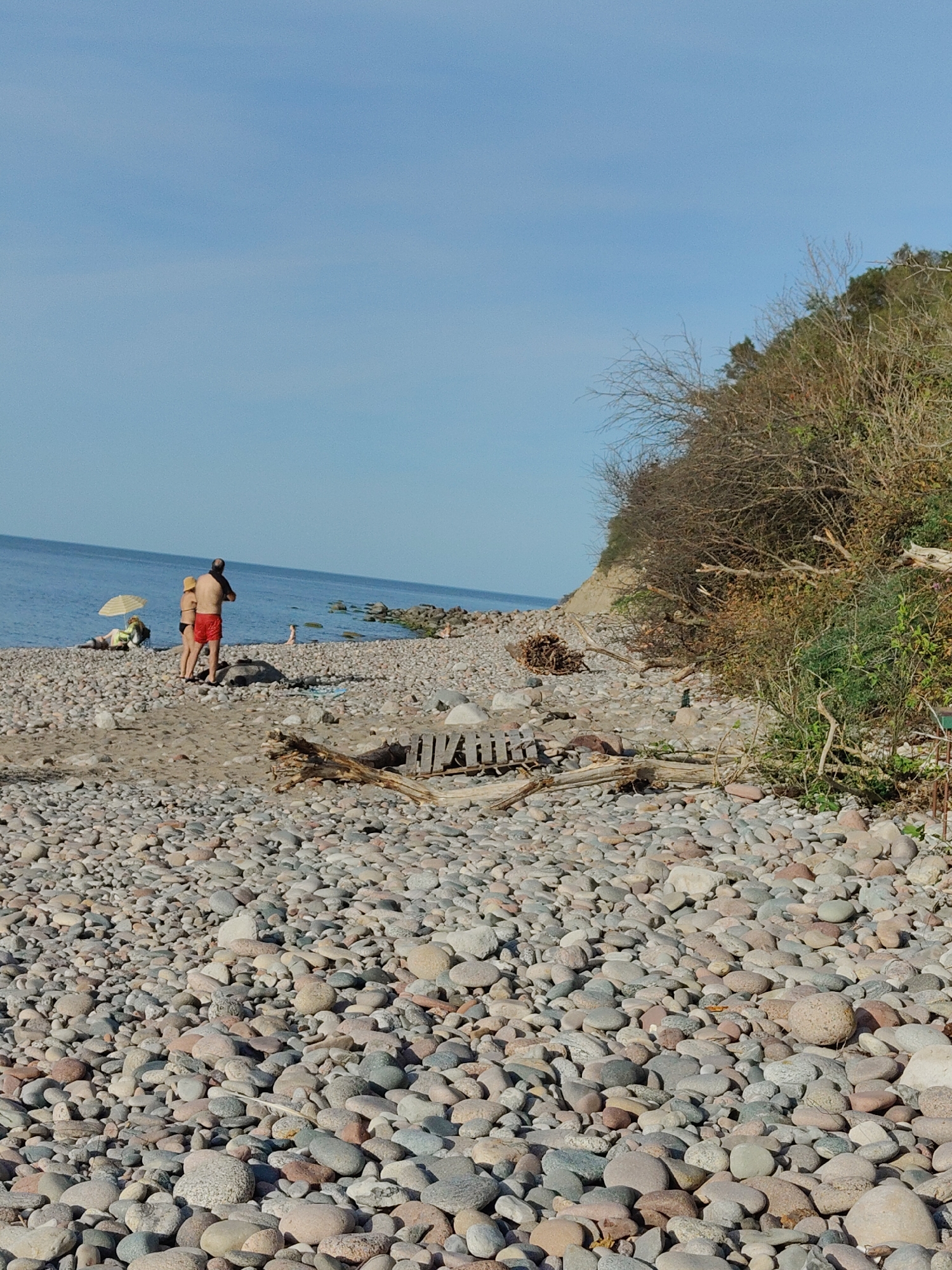 The image depicts a pebble beach in Pionersky, Russia, with the Baltic Sea in the background. A couple, a man and a woman, stand facing away from the camera, the man wearing red shorts and the woman a black bikini. To their left, a yellow umbrella shades two people lying on beach chairs. Further down the beach, a solitary figure is visible in the water. The shore is covered in smooth, grey, and pink pebbles, with scattered driftwood and vegetation on the higher ground. The sky is clear and blue.